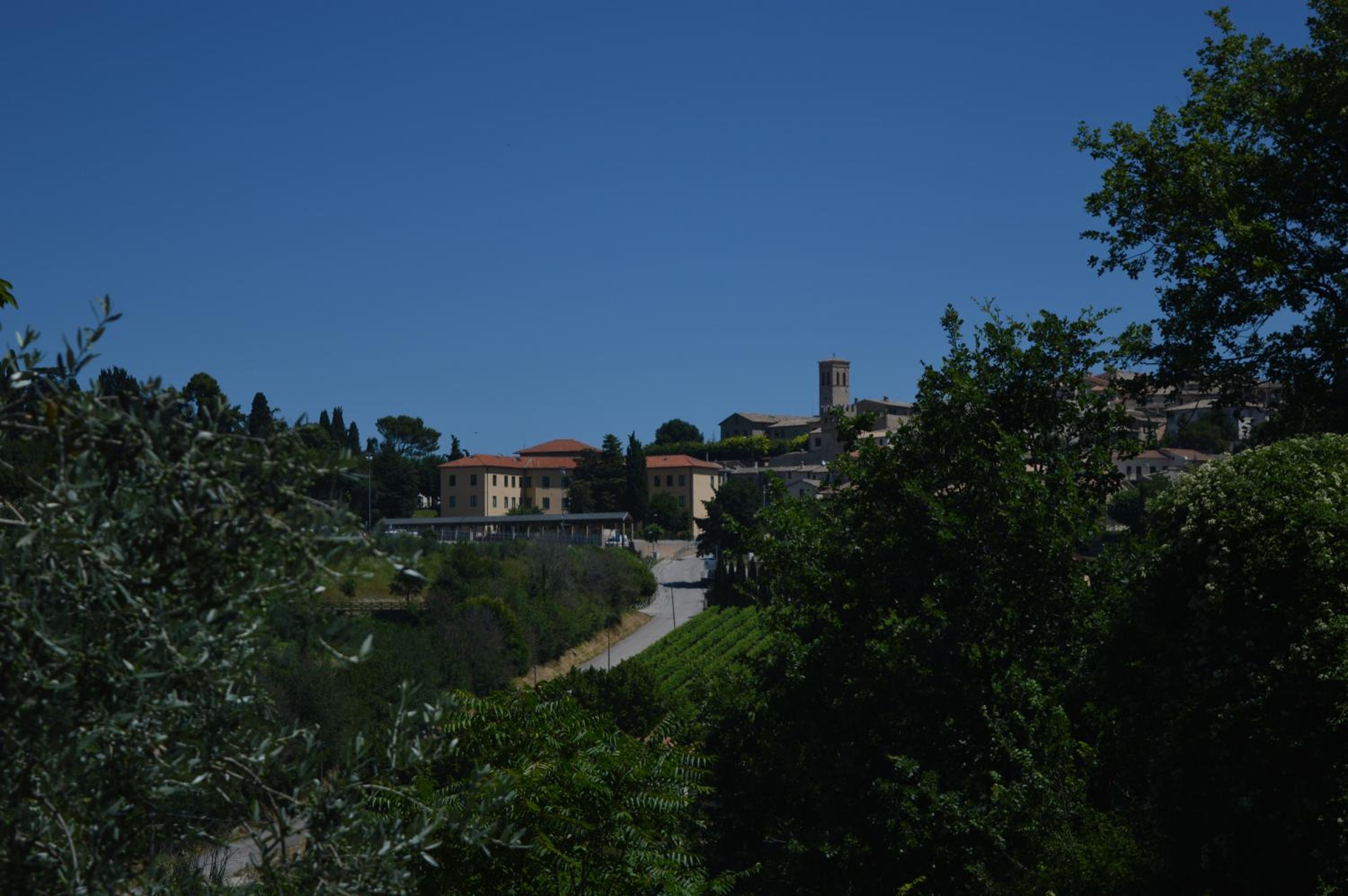 Photo 47