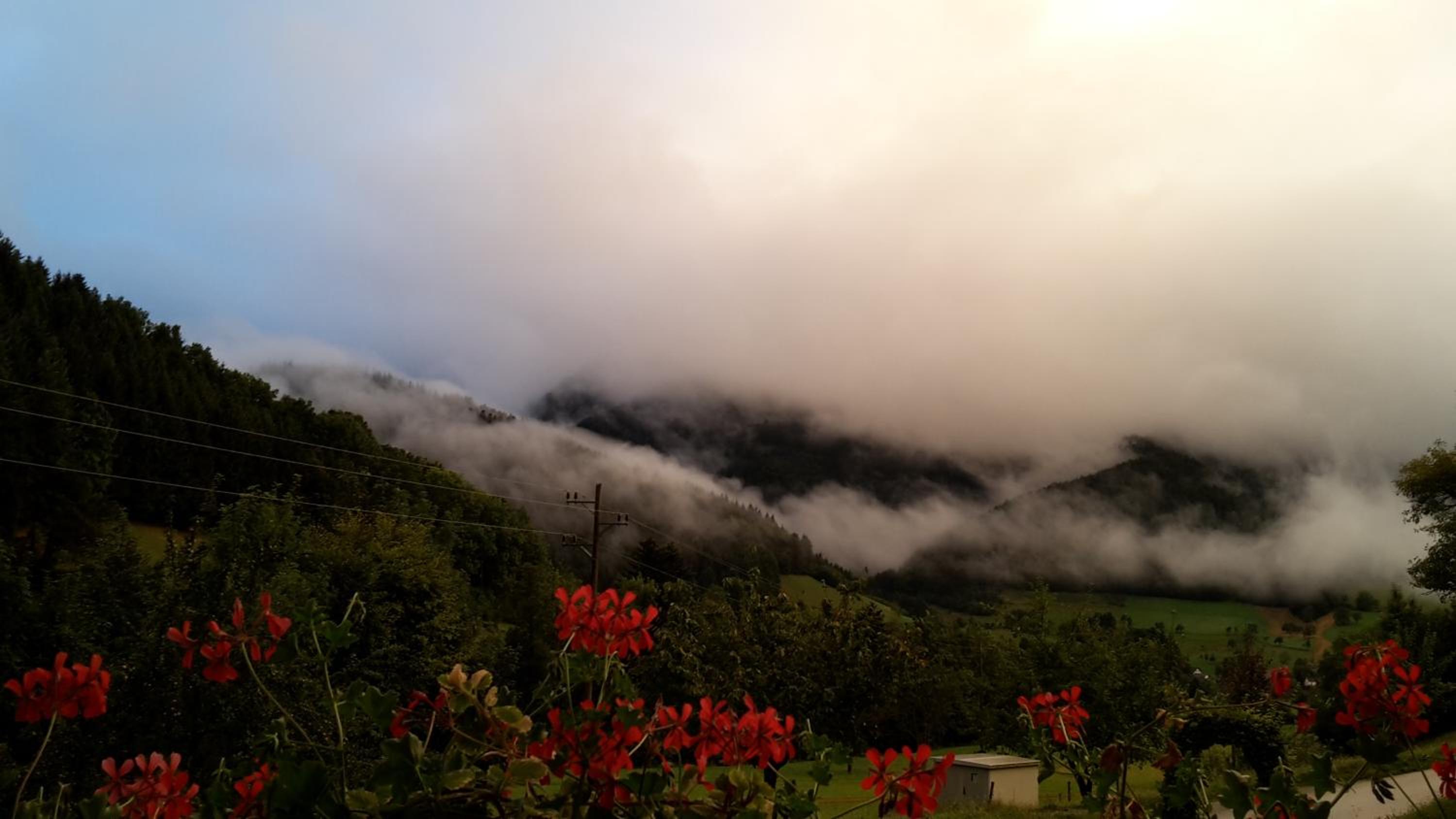 Photo 40