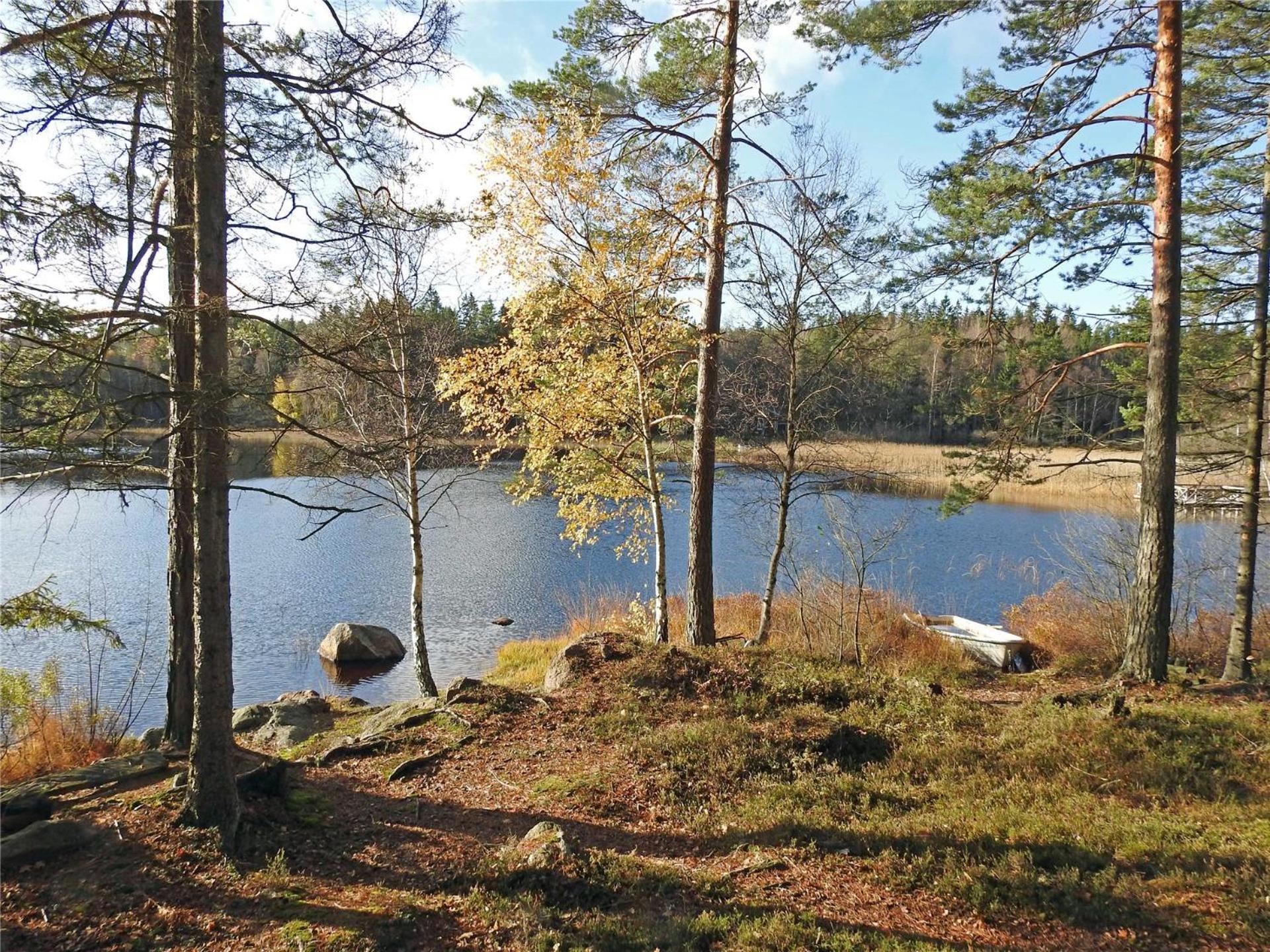 Photo 36