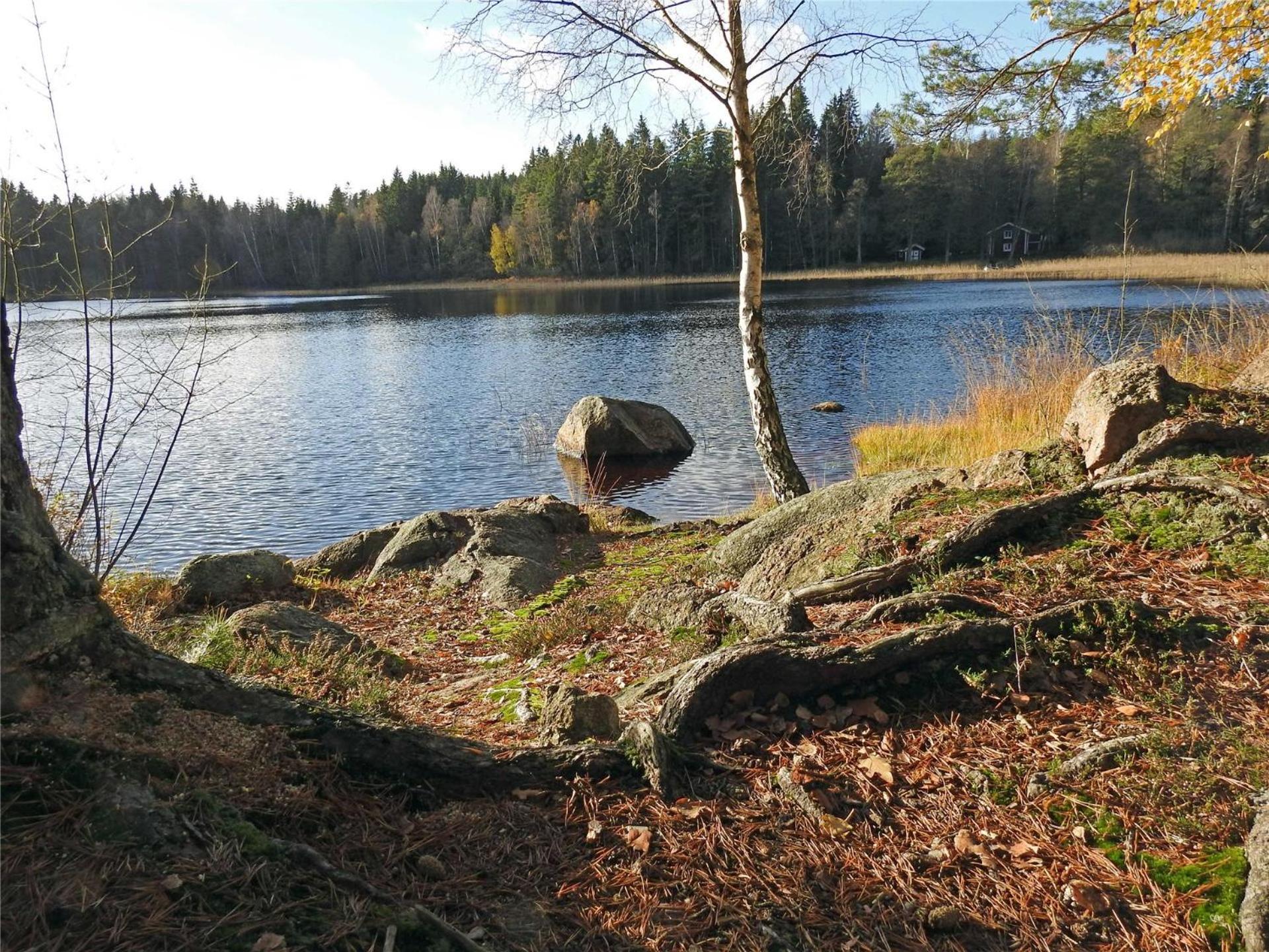 Photo 35