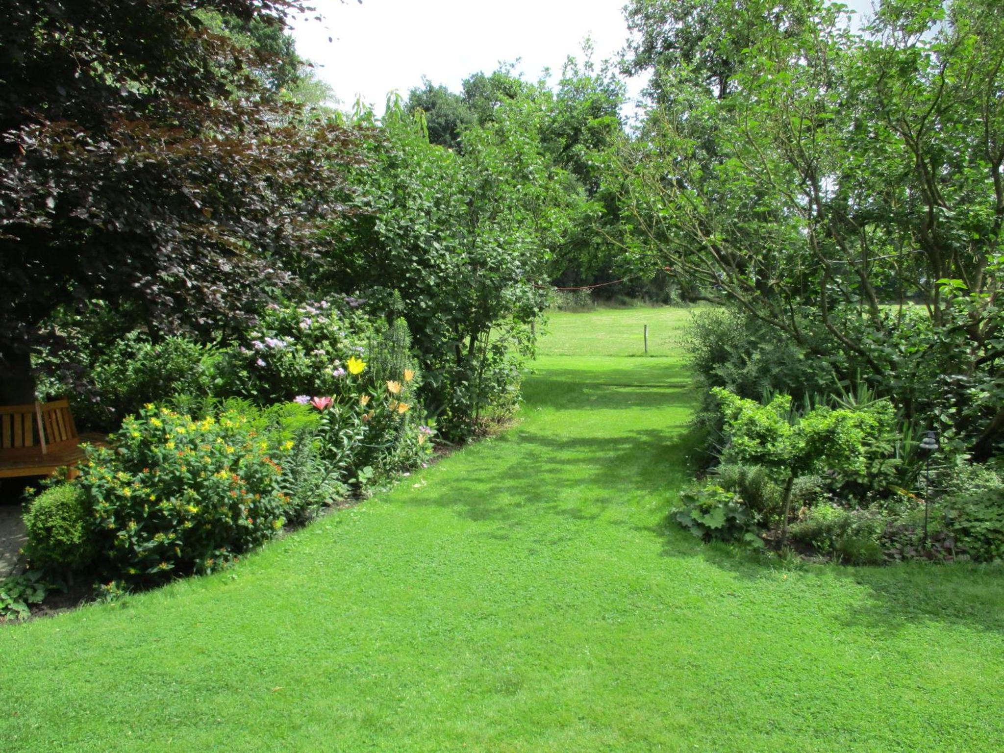 Photo 30
