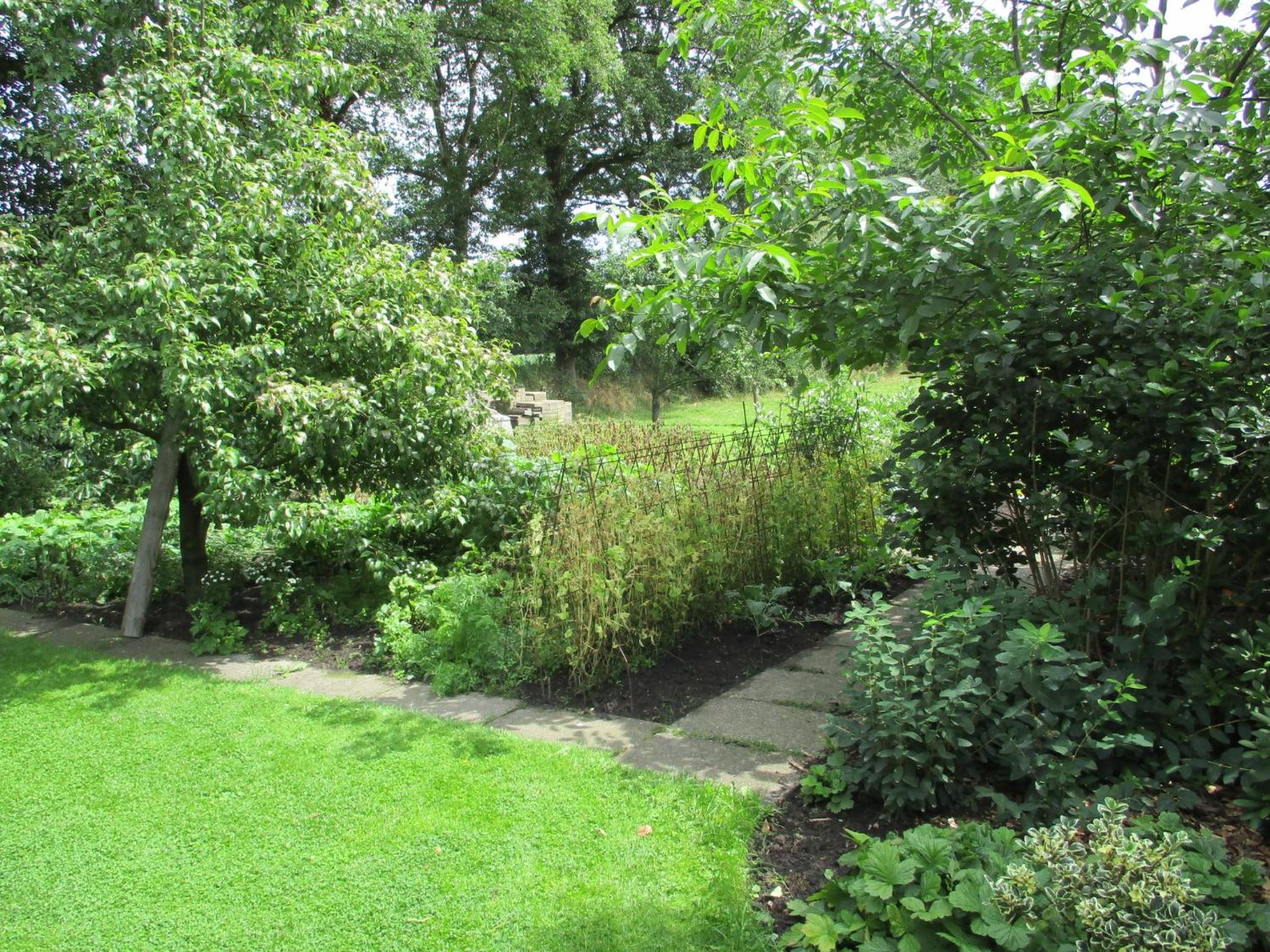 Photo 31