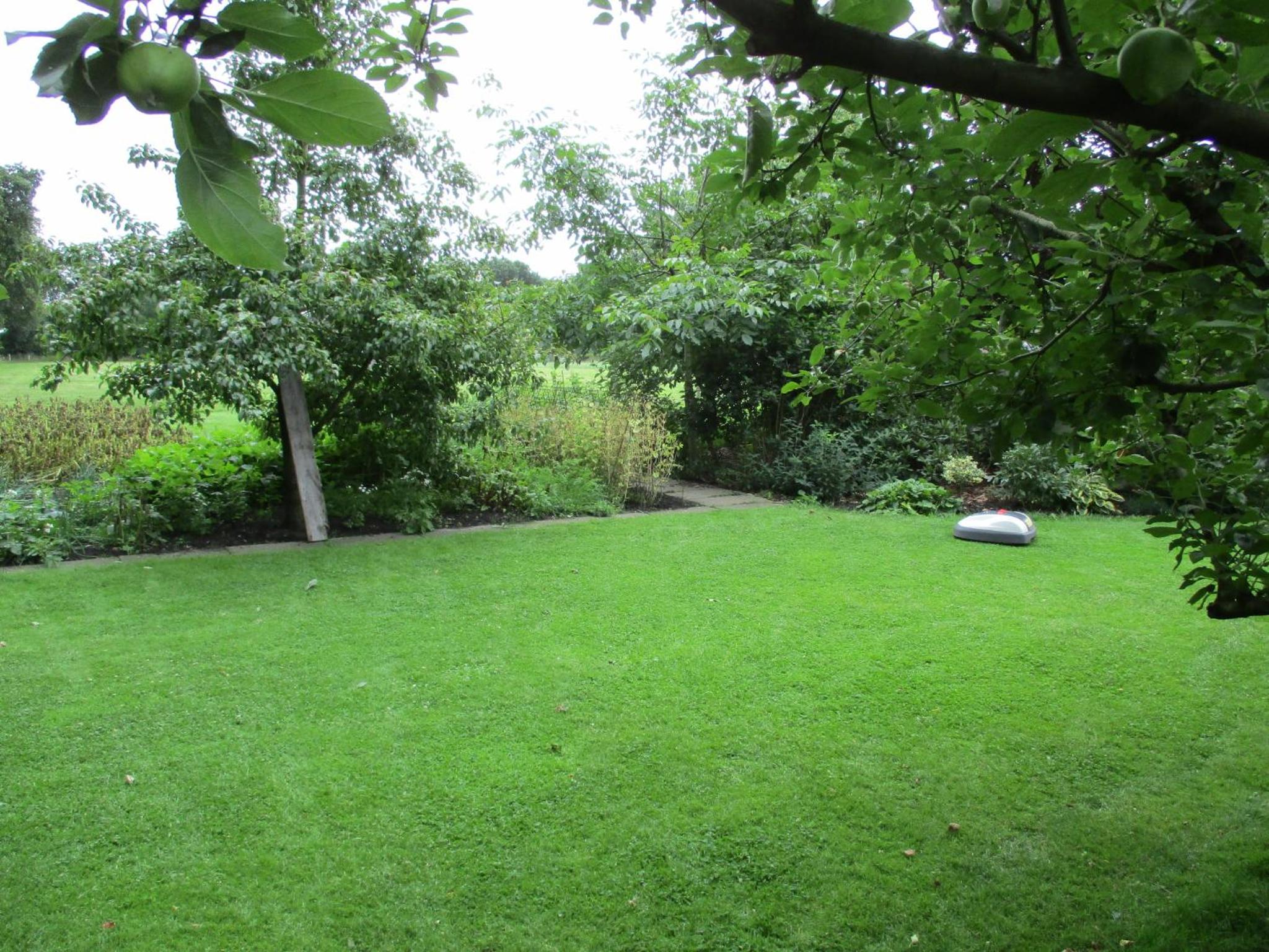 Photo 32