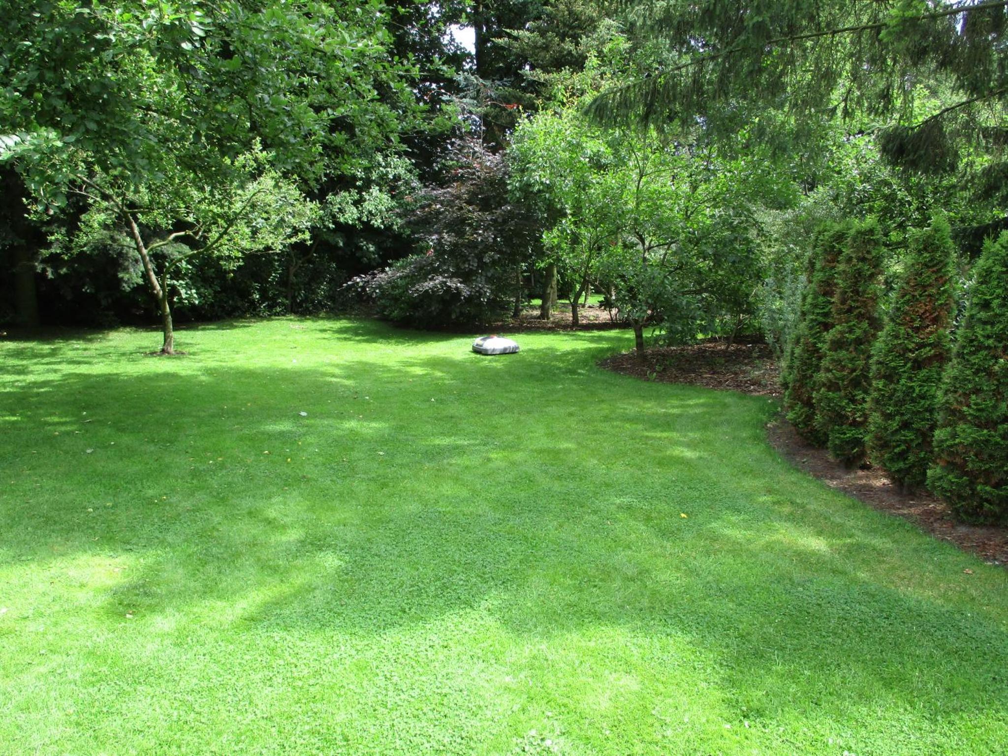Photo 33