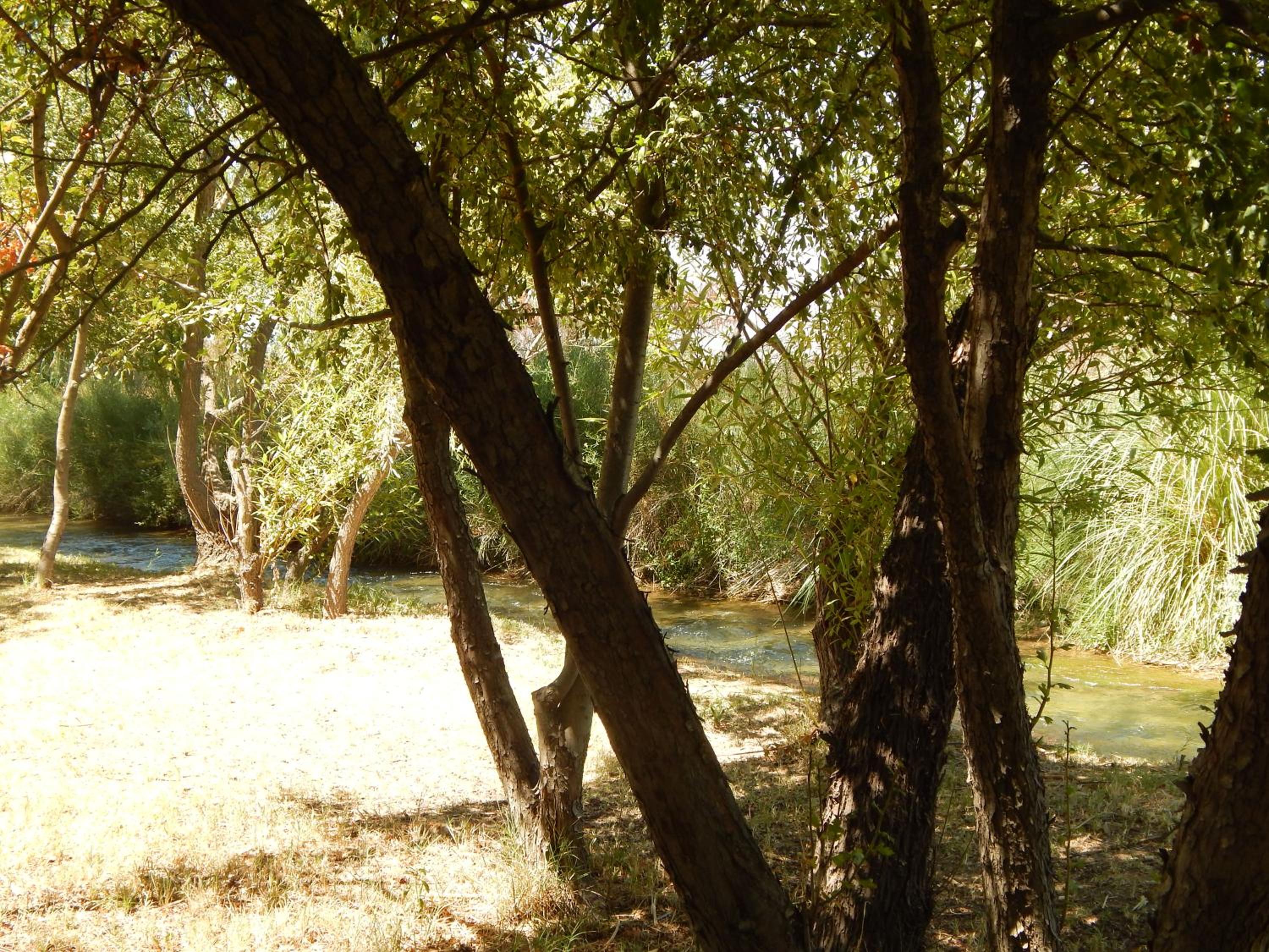 Cabañas Rio Diamante