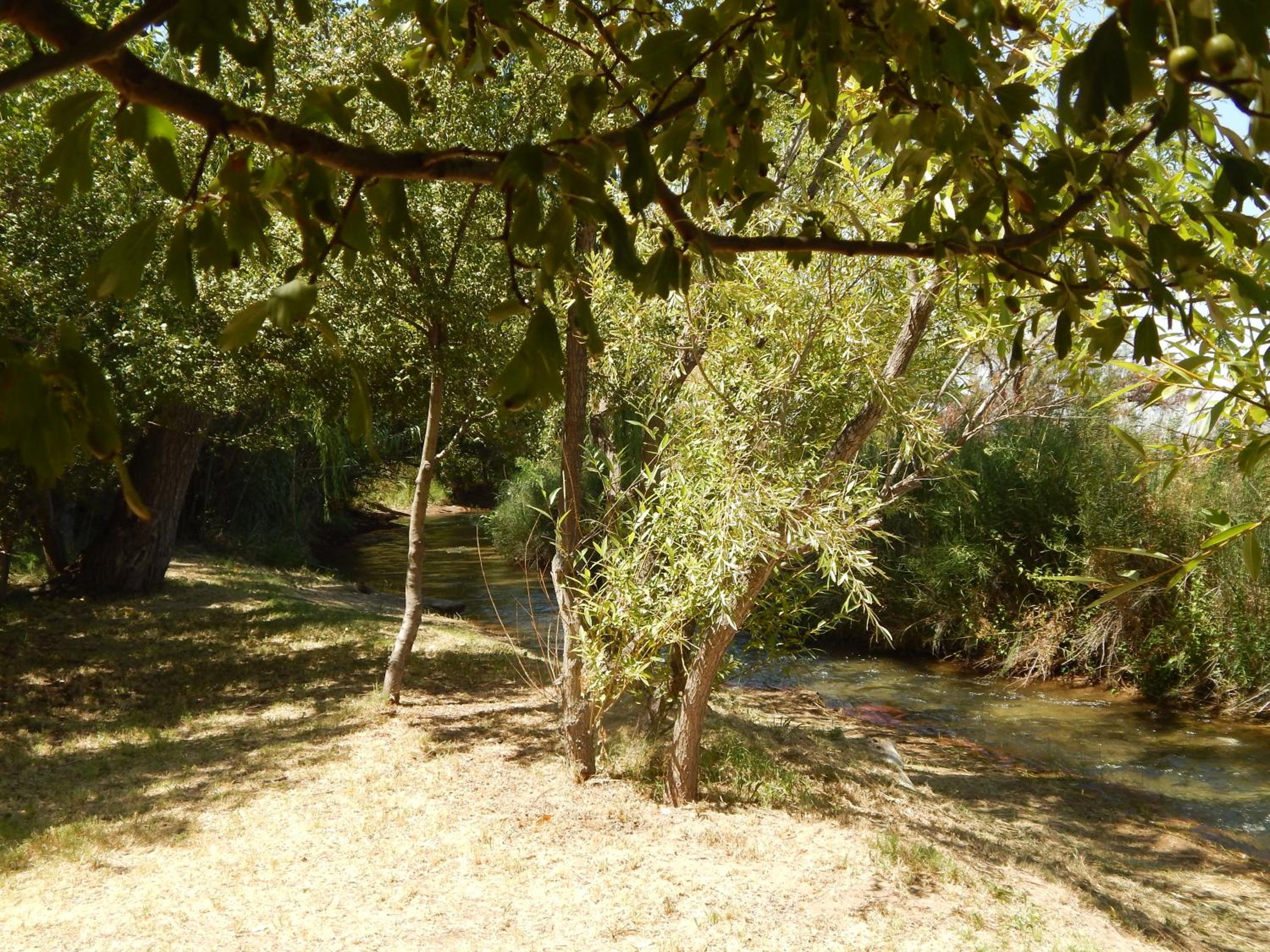 Cabañas Rio Diamante