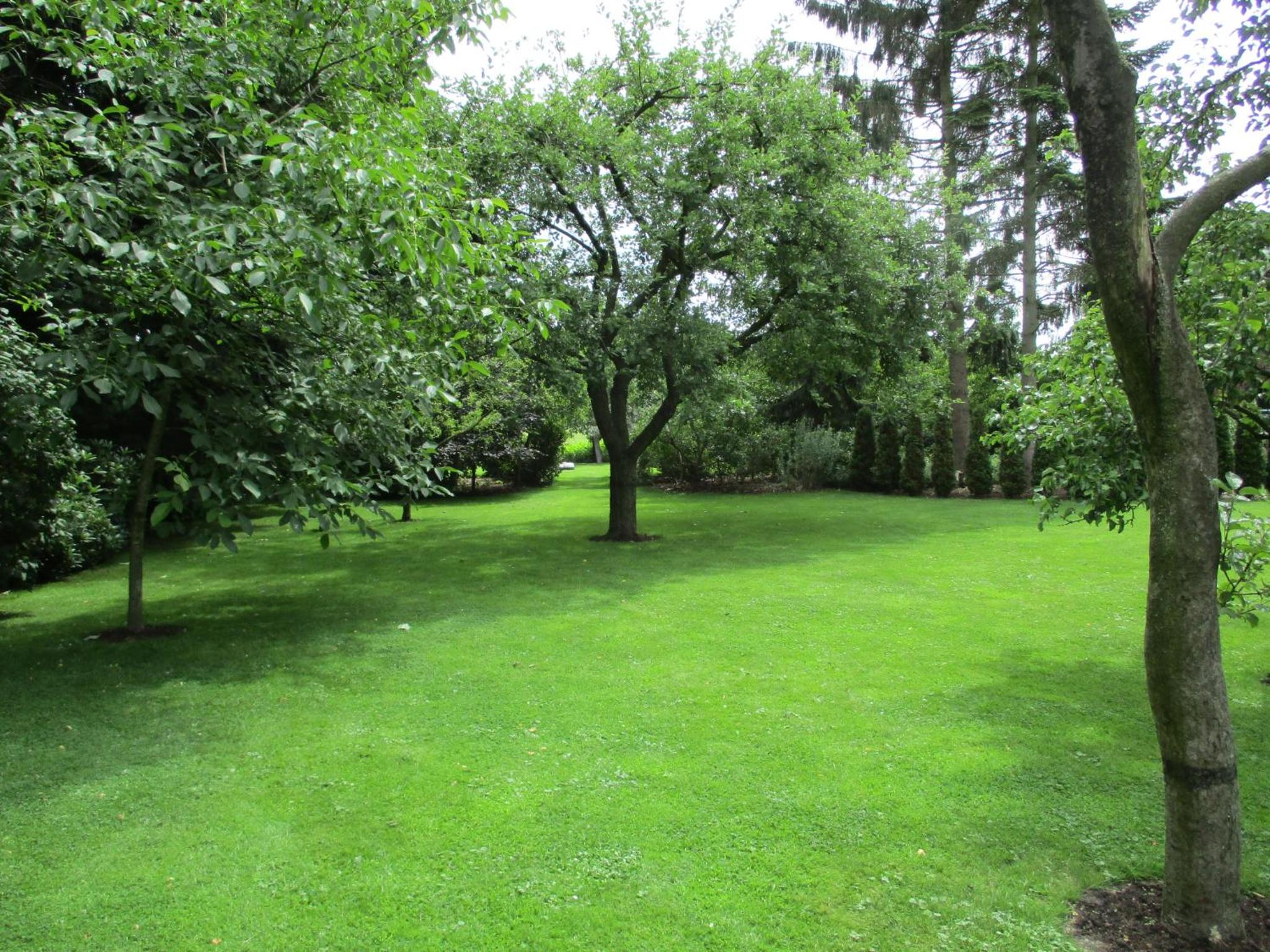 Photo 24