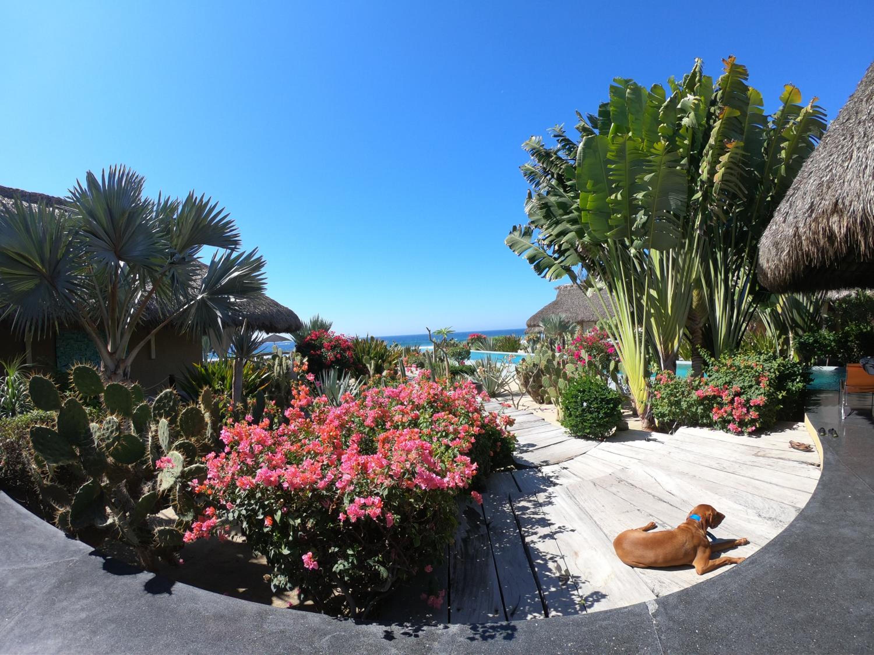 Samora Luxury Resort