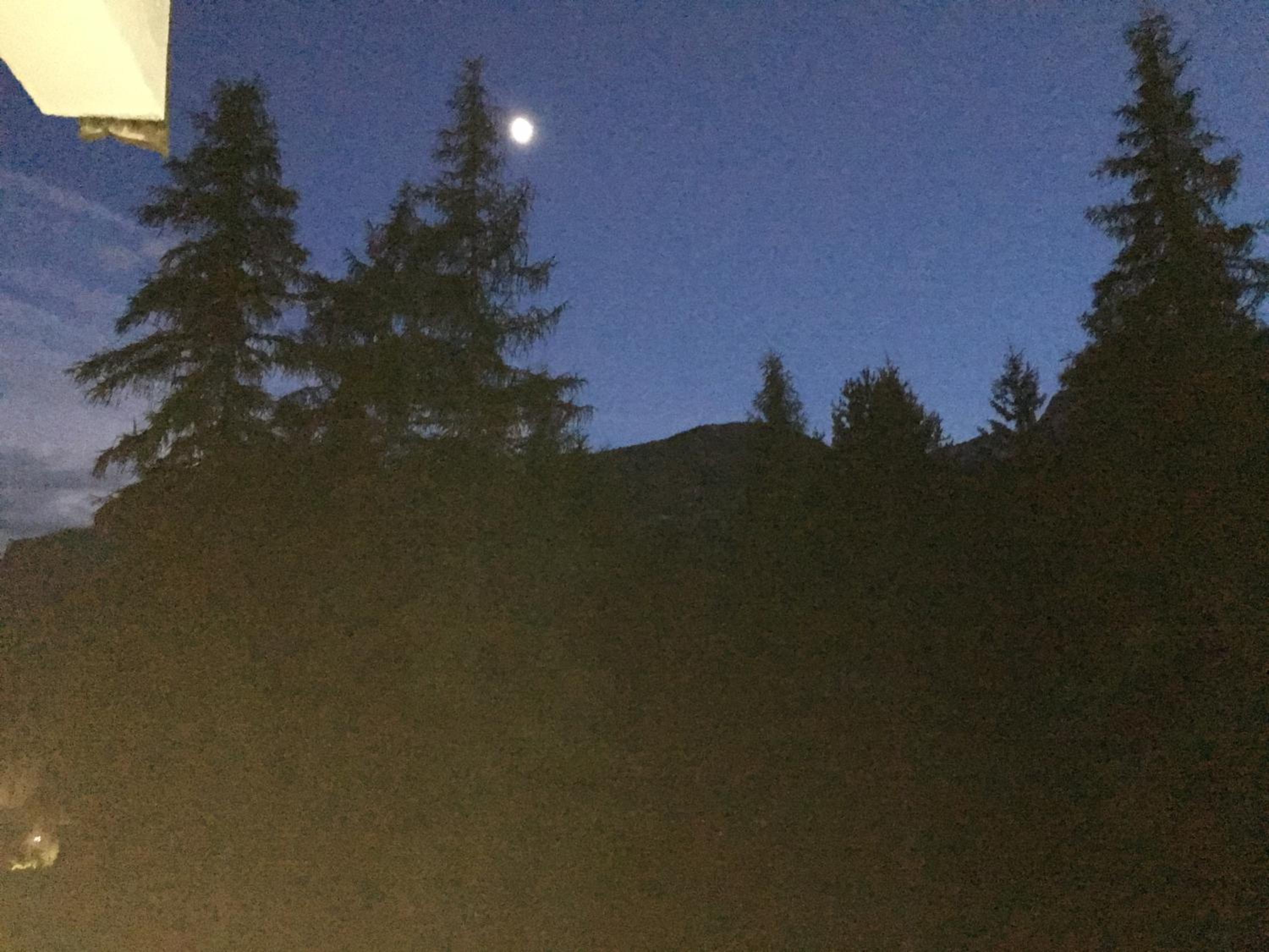 I mughi - Cortina