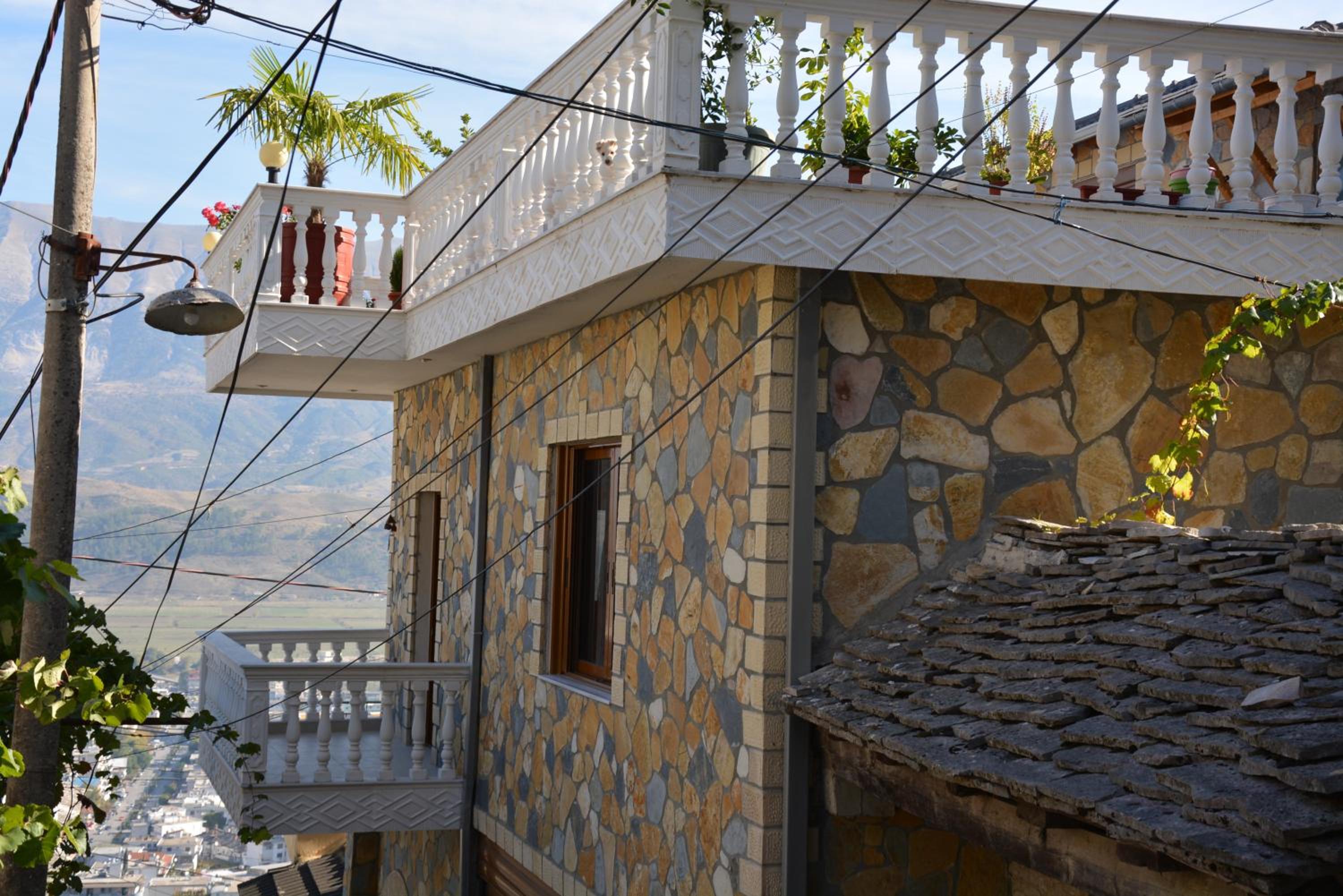 Guest house Memushi