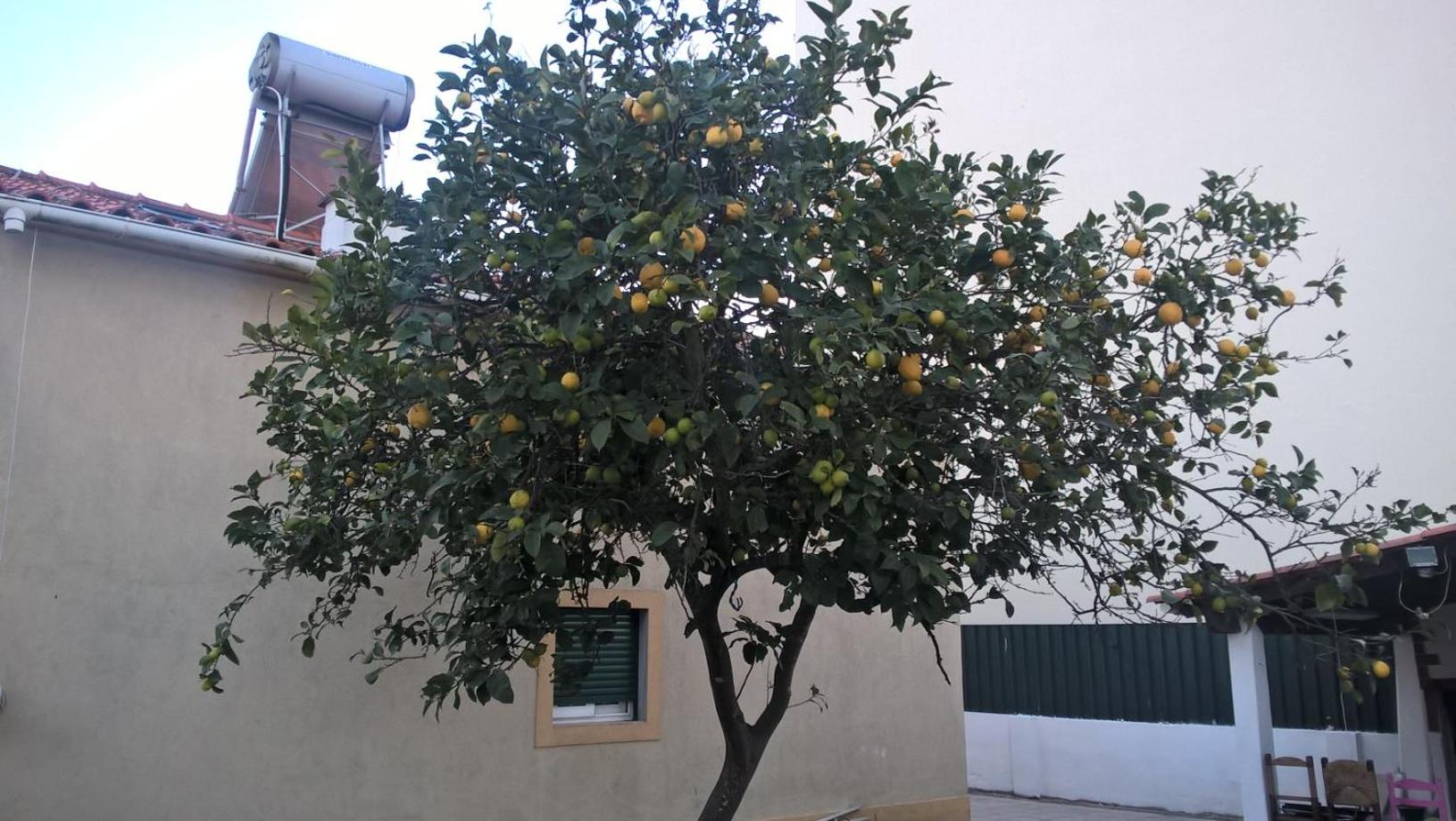 Photo 34