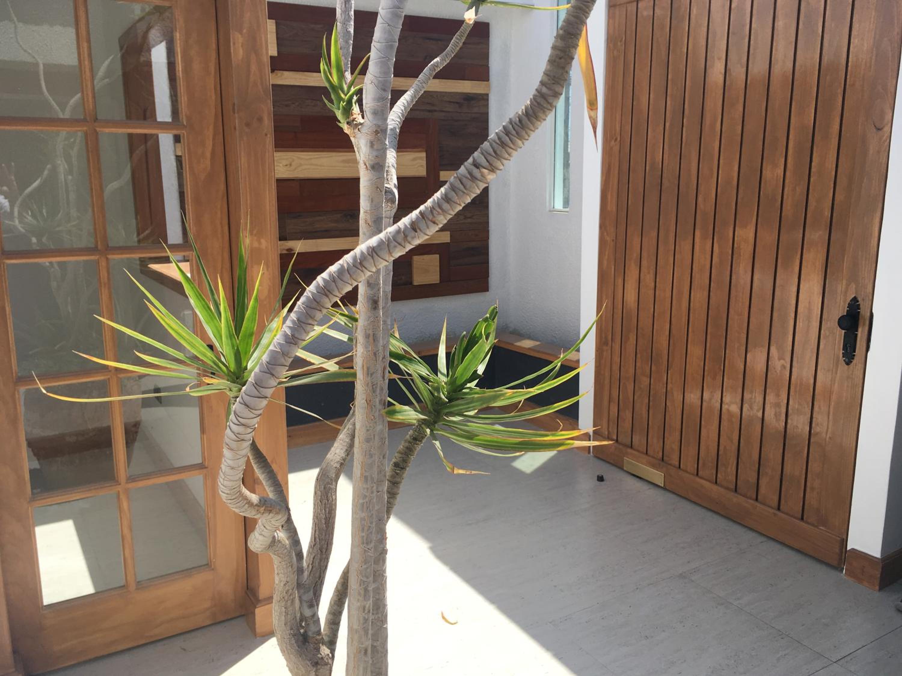Fragga Hospedaje Boutique