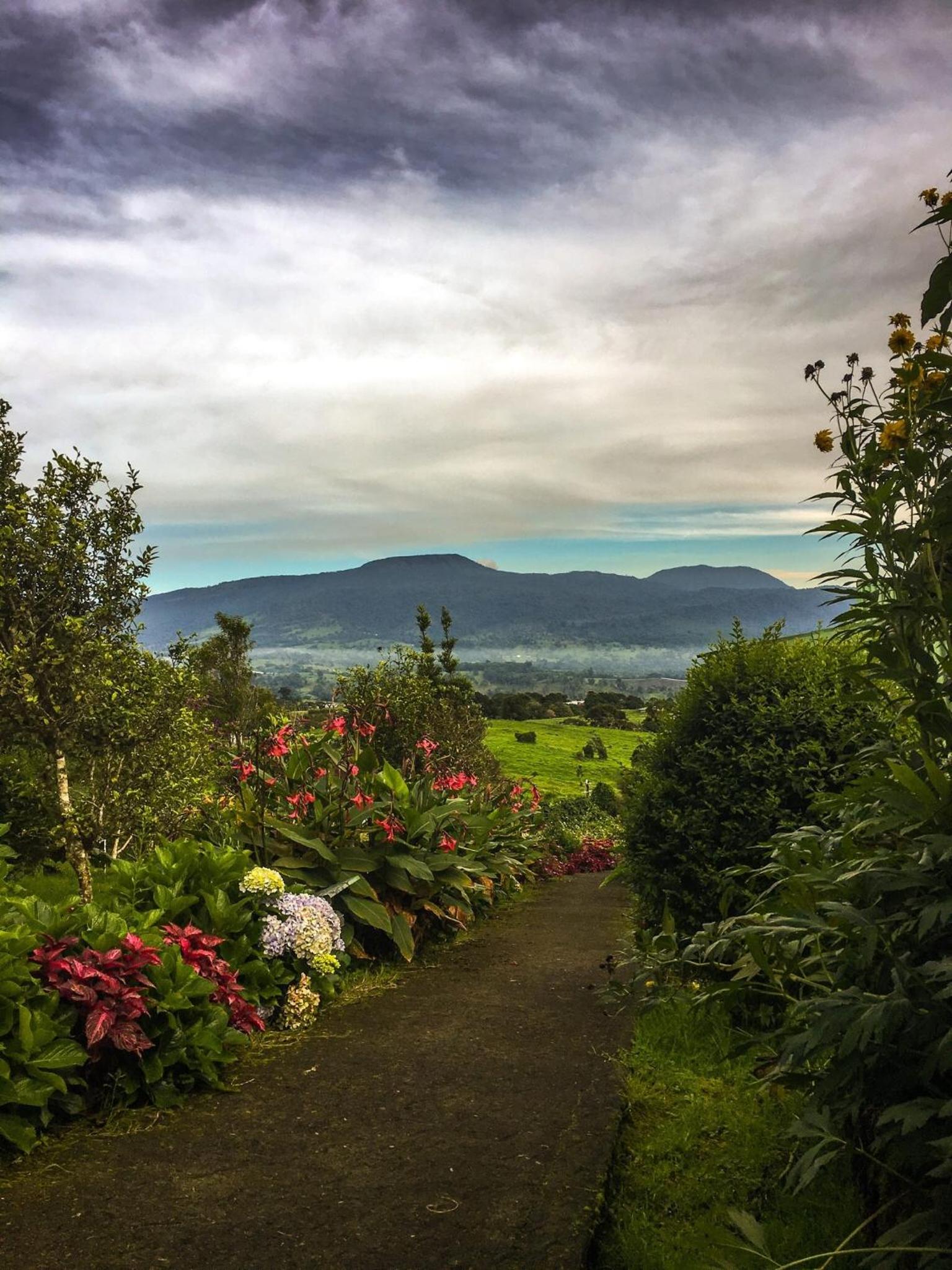 Hortensias Chalets Vara blanca view 2