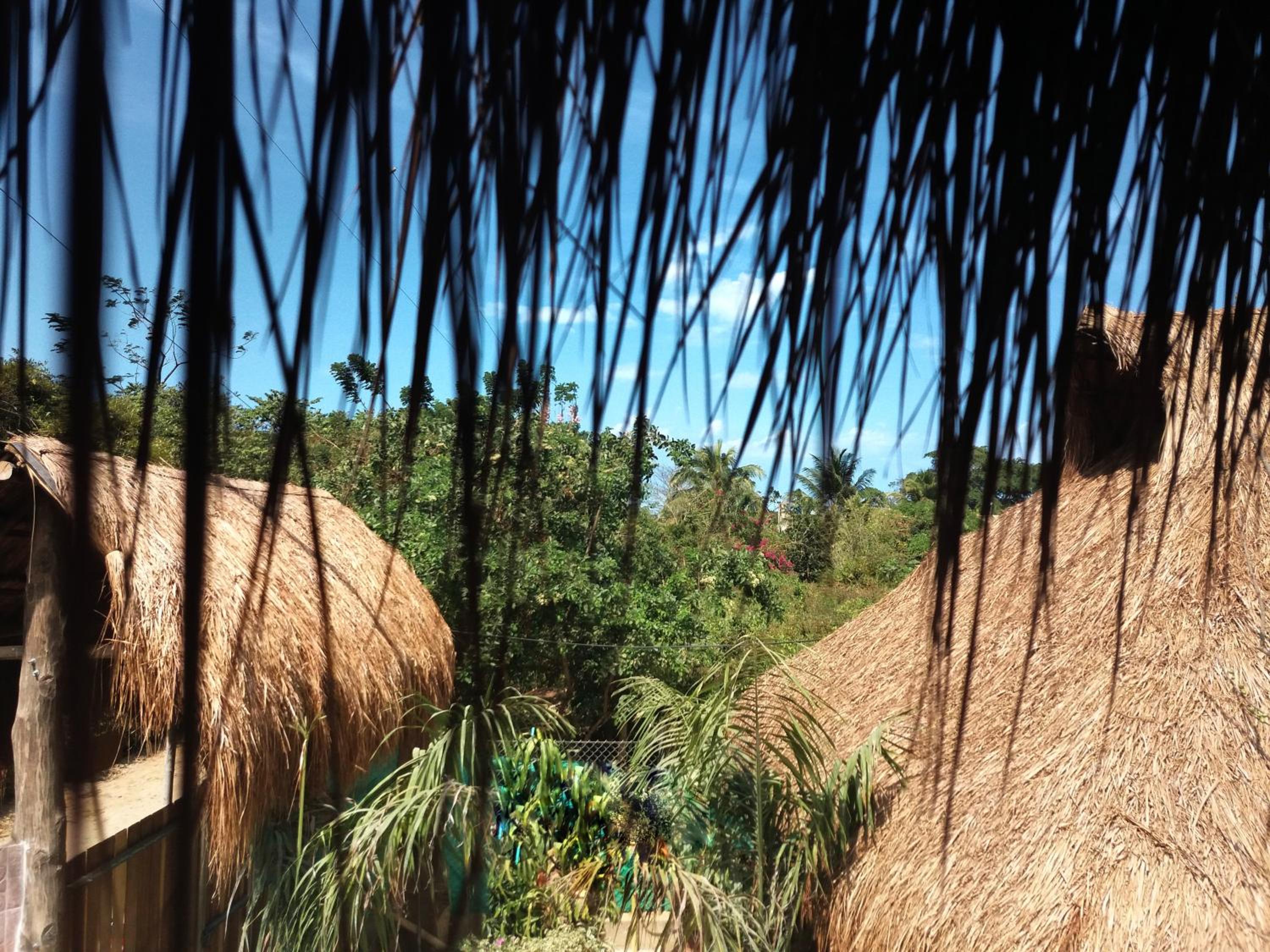 Hostal Nibuni Palomino