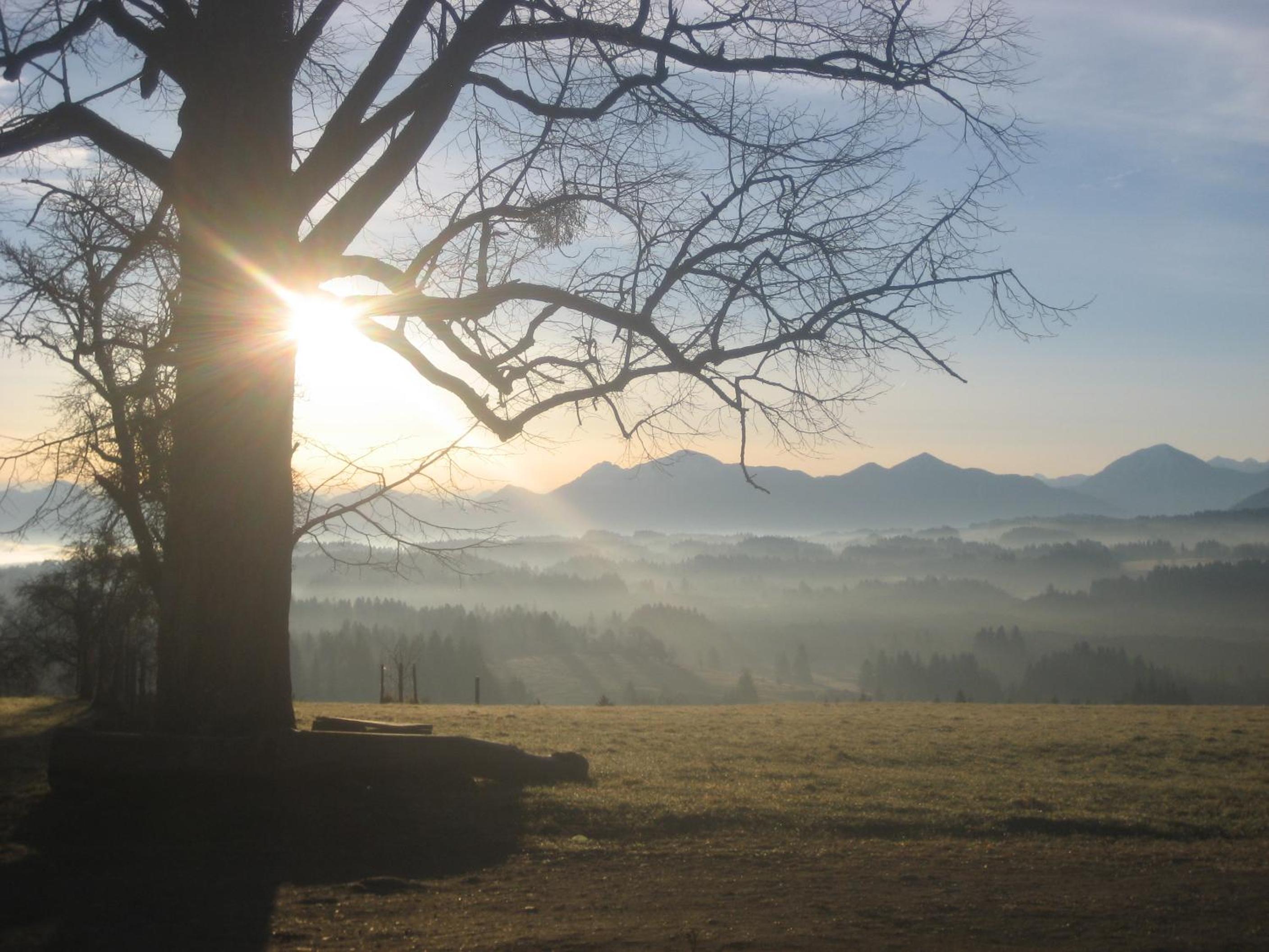Ferien beim Baur
