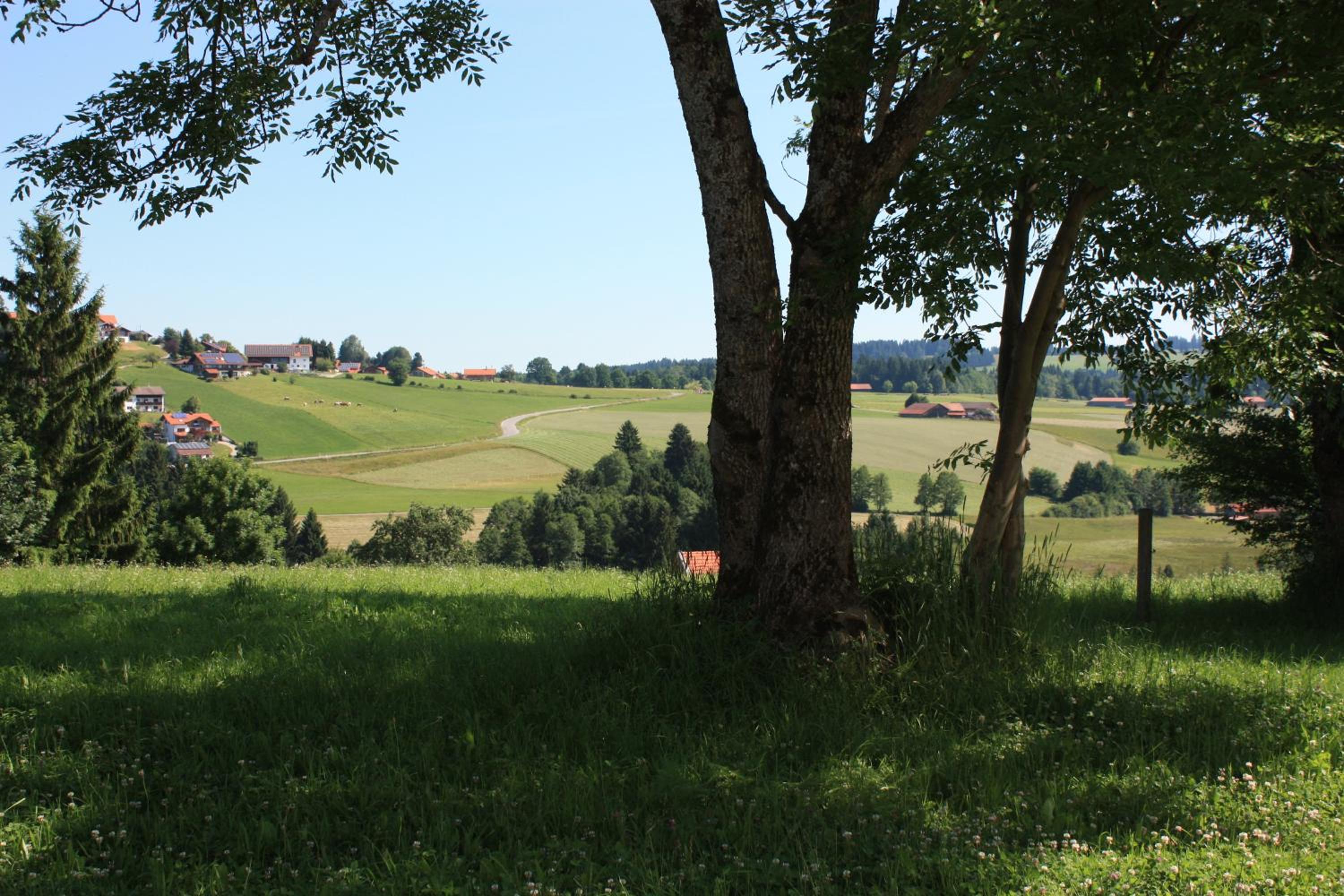 Ferien beim Baur