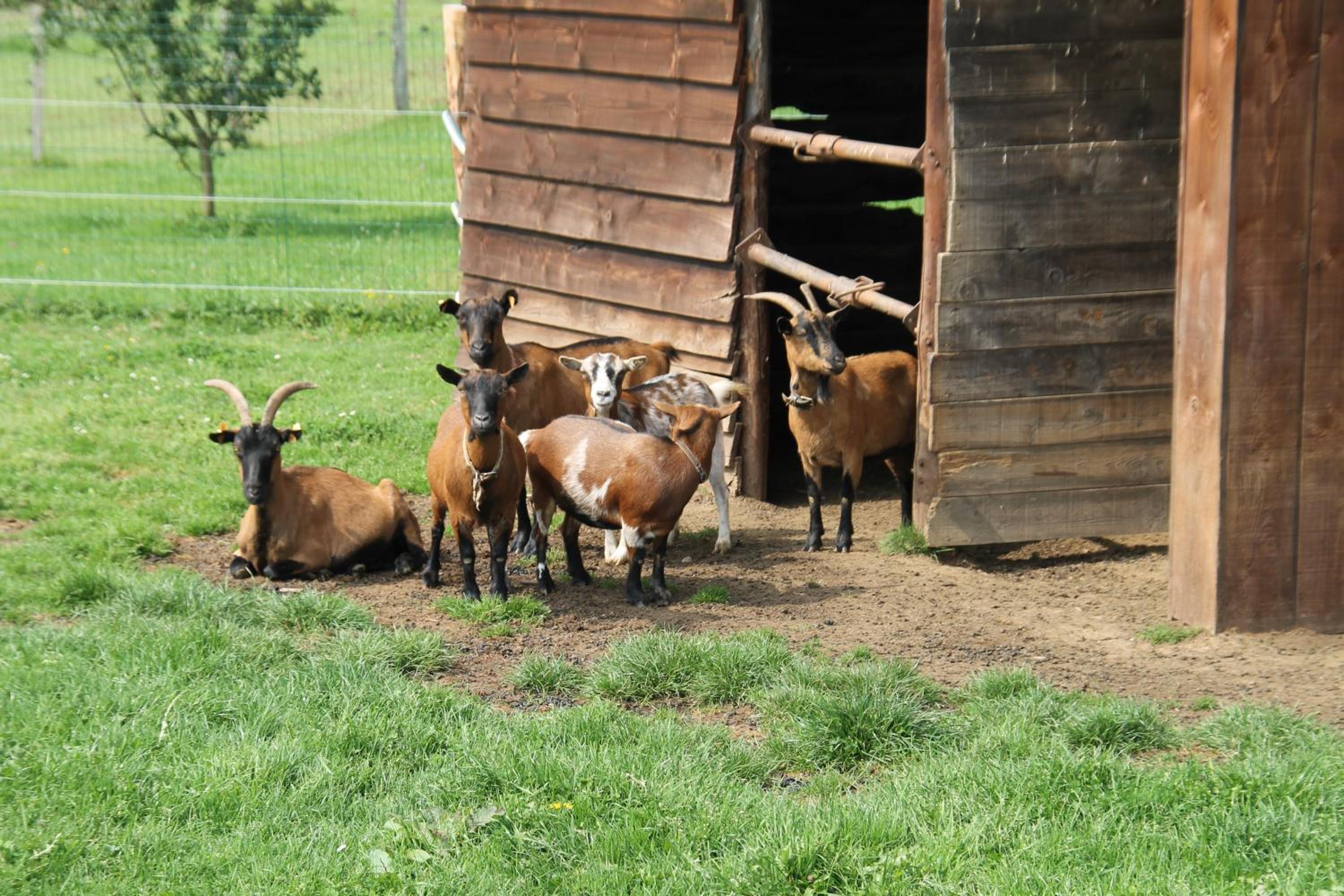 B&B Au fil des saisons sur la Wiels