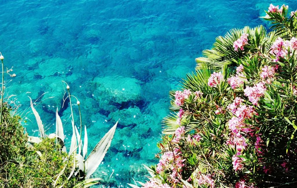 Cavtat Vacations - Nice Apartment  Room in Cavtat - Property Image 18