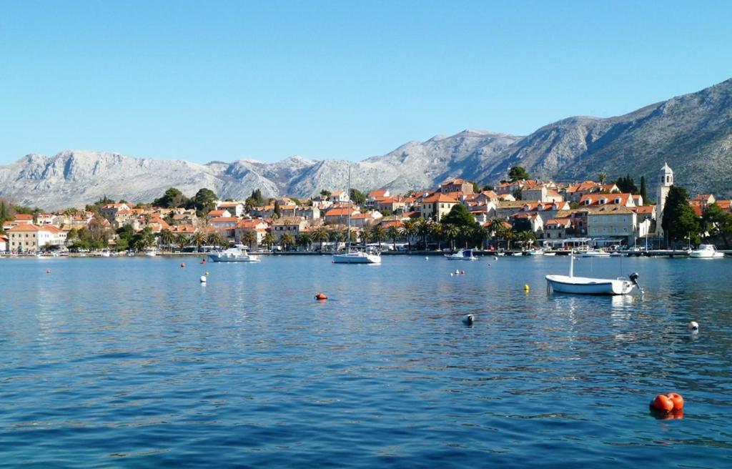 Cavtat Vacations - Nice Apartment  Room in Cavtat - Property Image 20