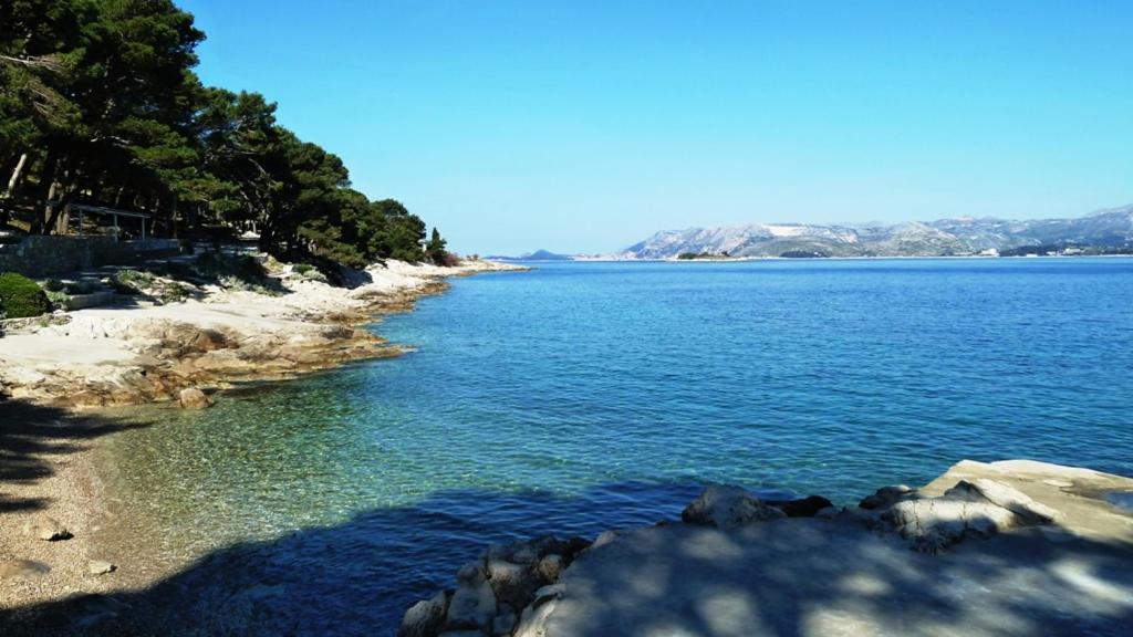 Cavtat Vacations - Nice Apartment  Room in Cavtat - Property Image 25
