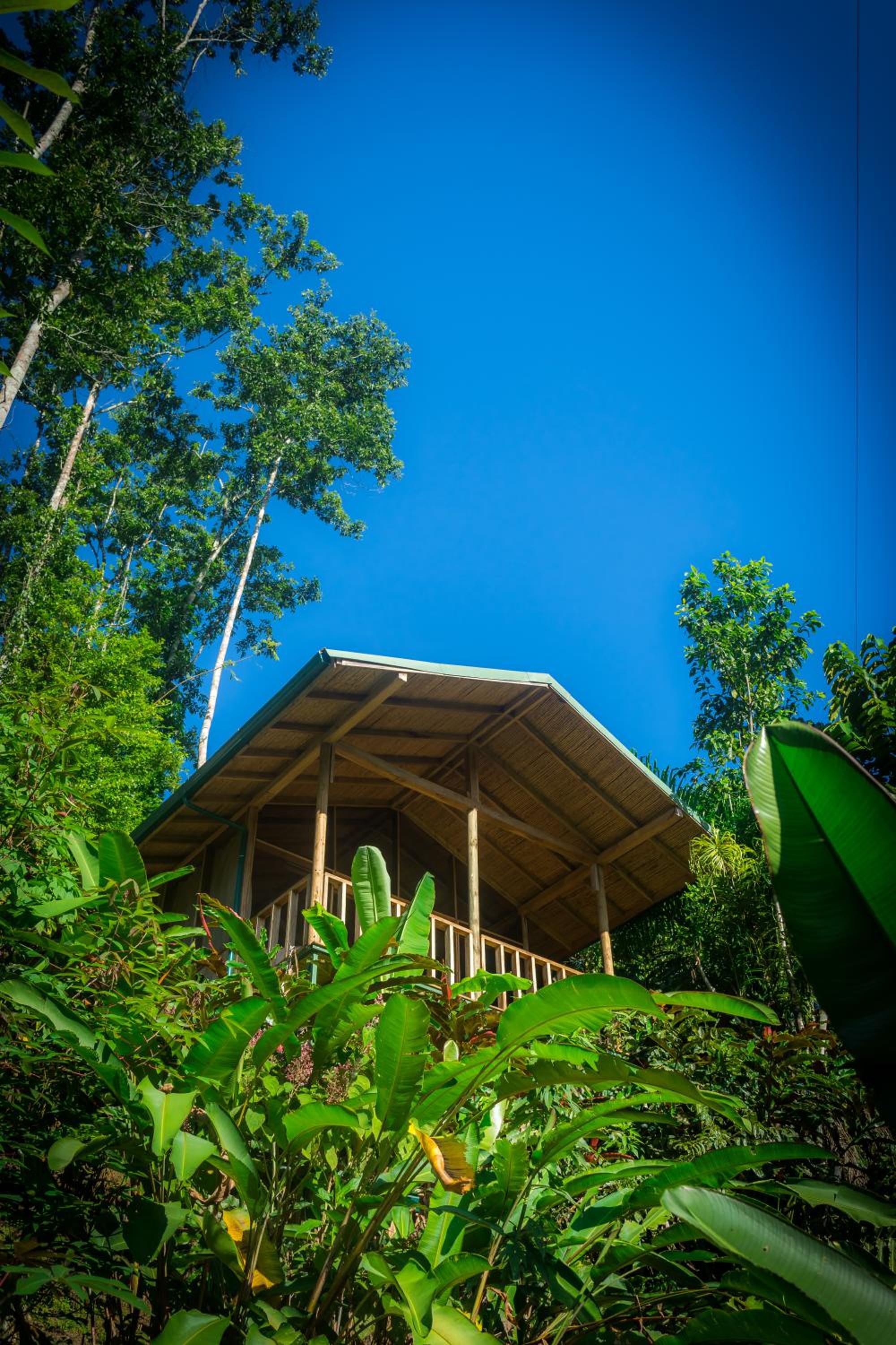 Hotel Pacuare Outdoor Center - Image 1