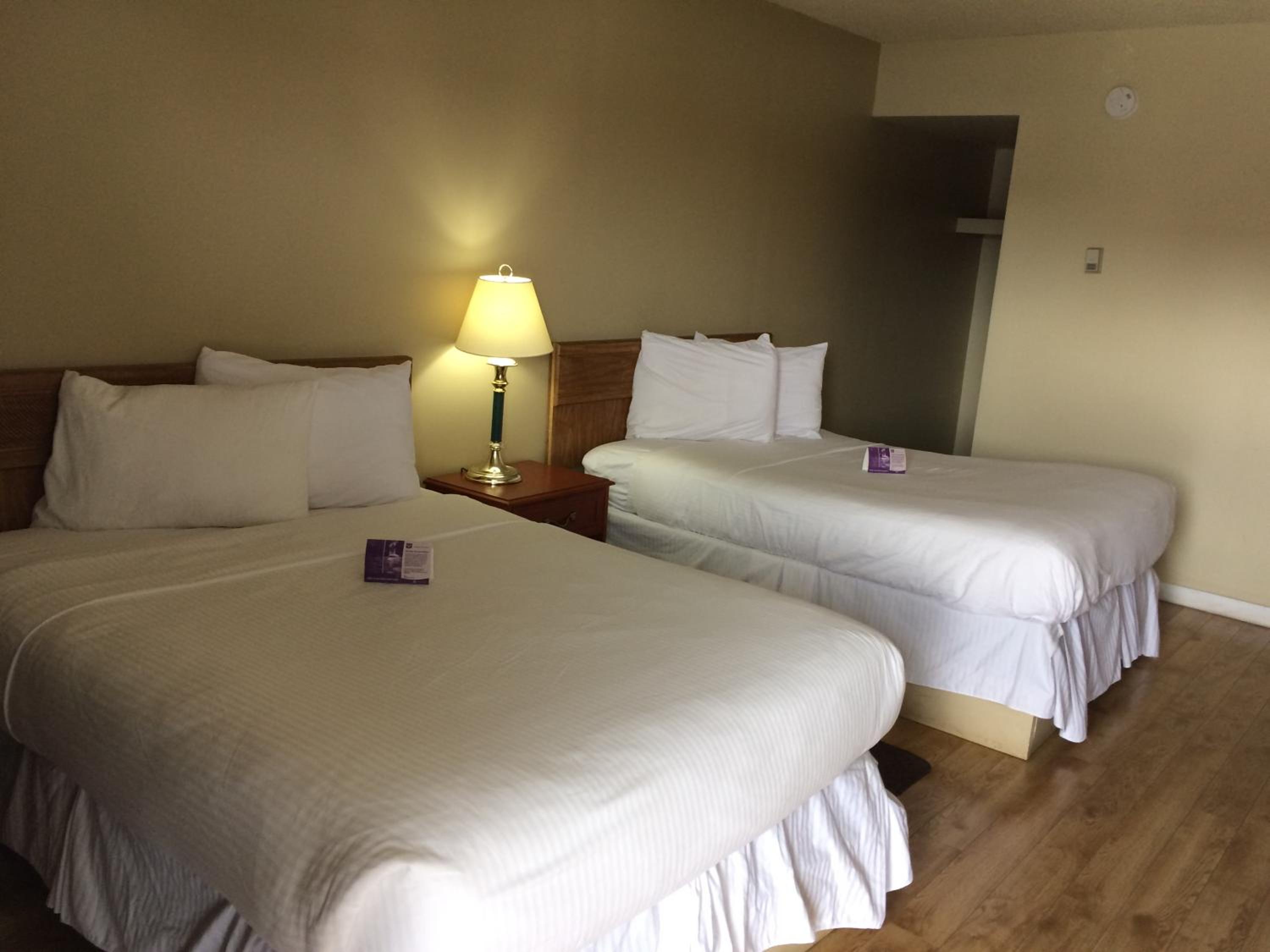 Nice Inn Edmonton