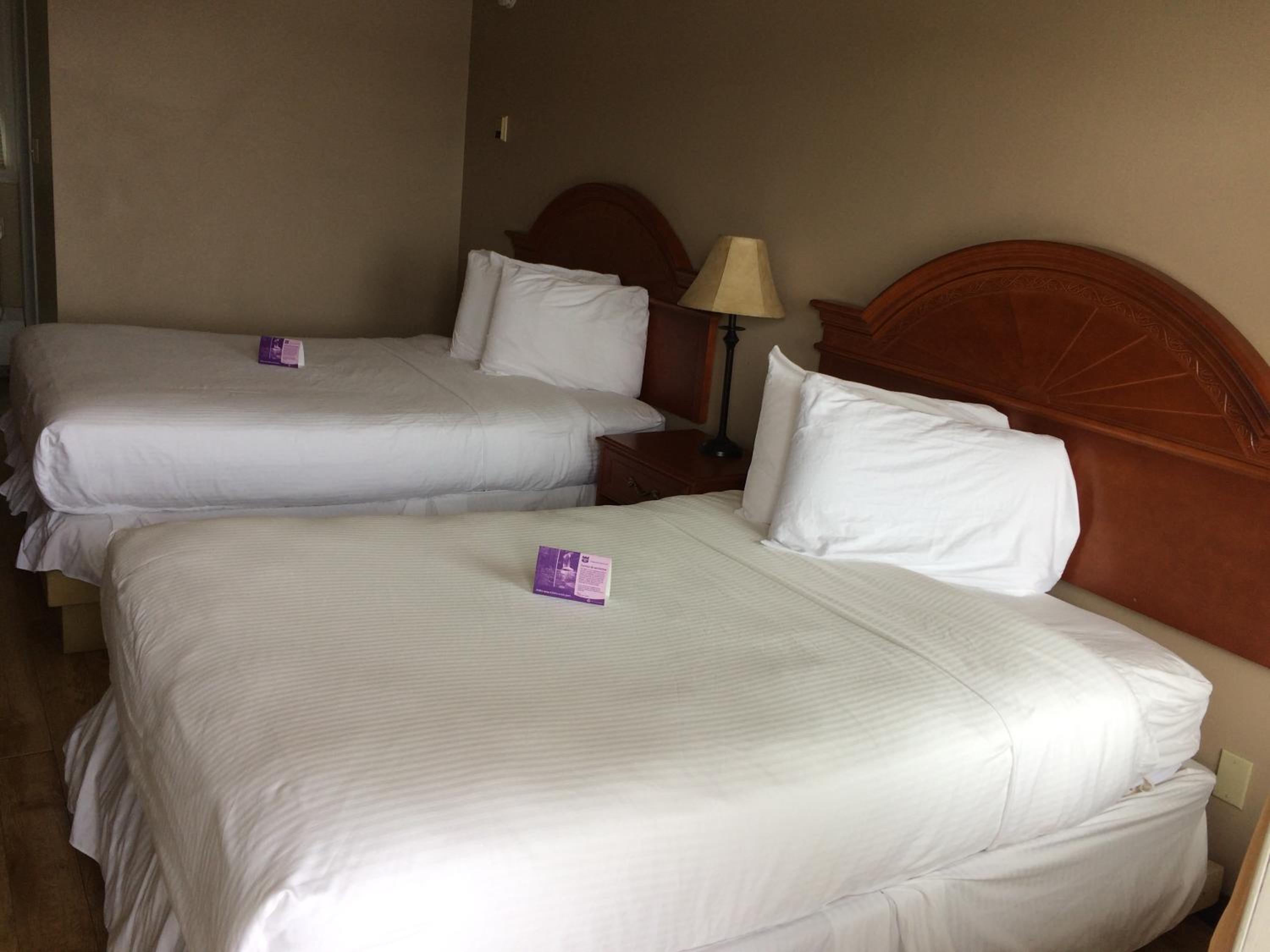 Nice Inn Edmonton
