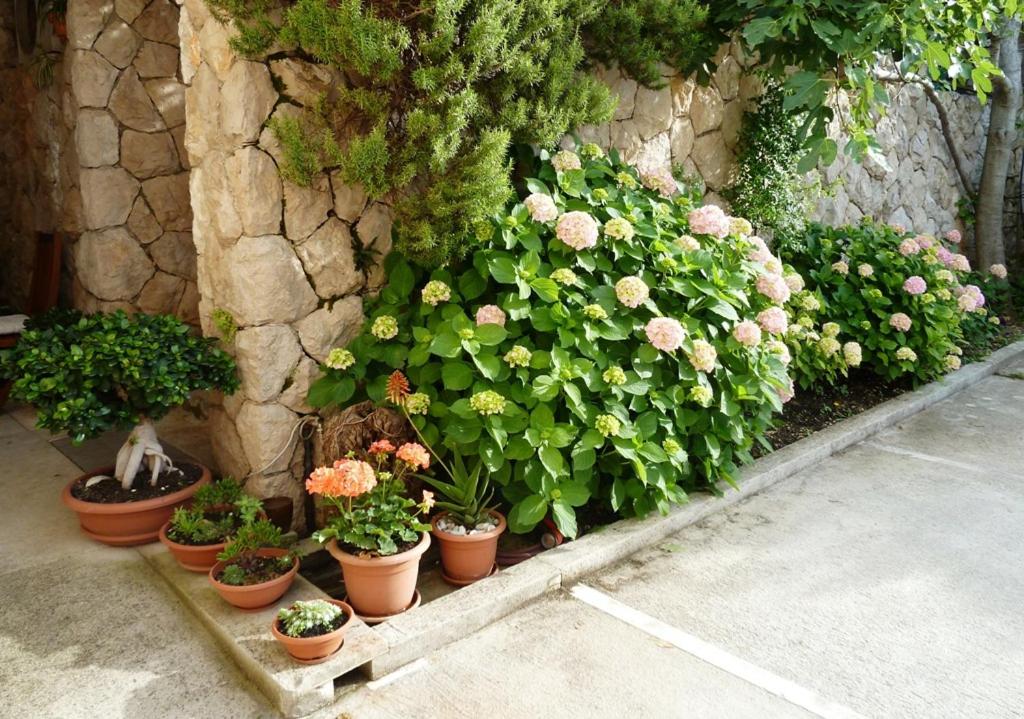Cavtat Vacations - Nice Apartment  Room in Cavtat - Property Image 15