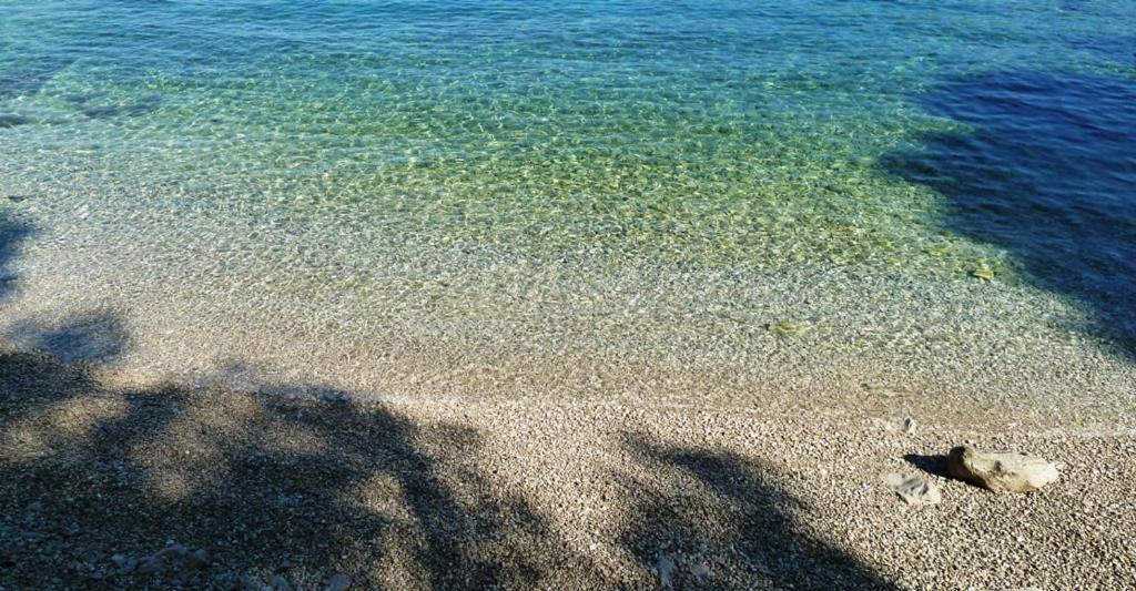 Nice Apartment & Room in Cavtat photo 5