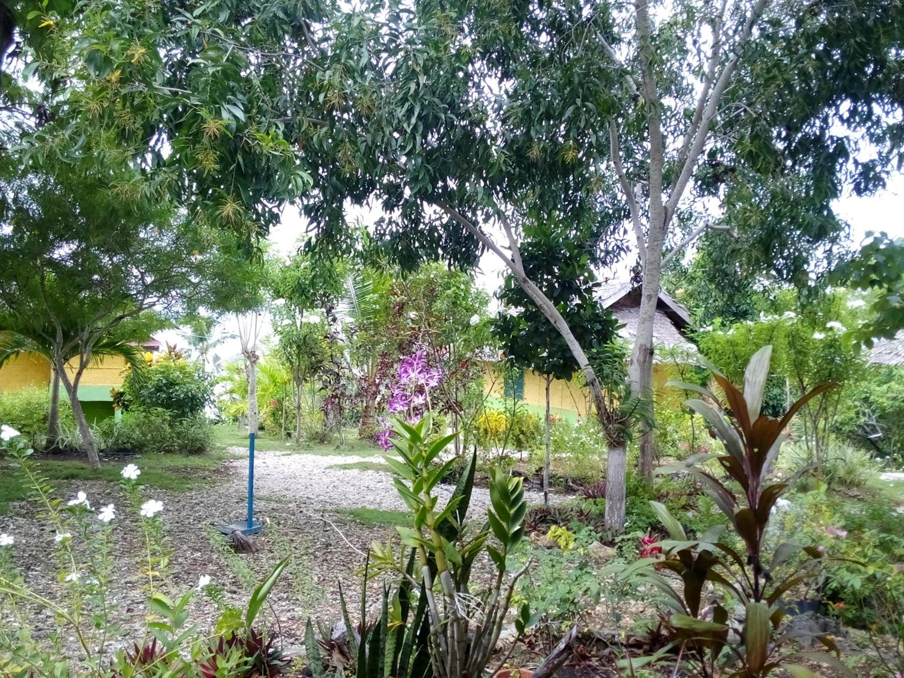 Photo 26