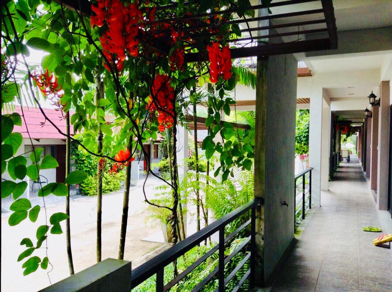 Wassana Sitdharma Guesthouse