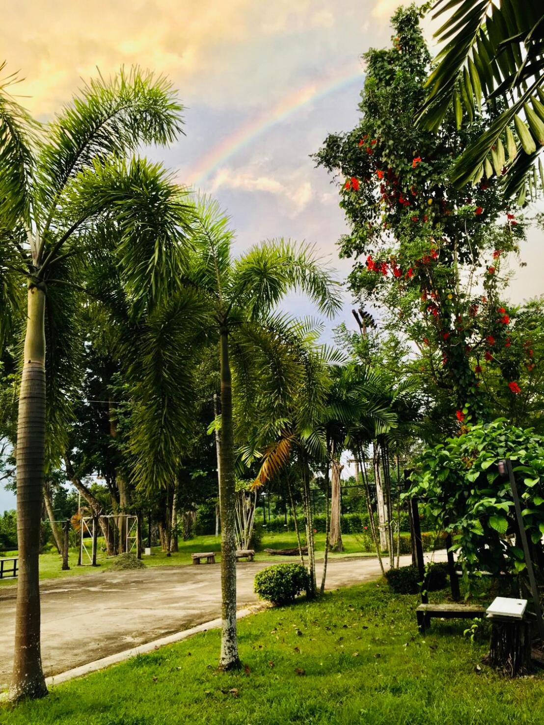Wassana Sitdharma Guesthouse