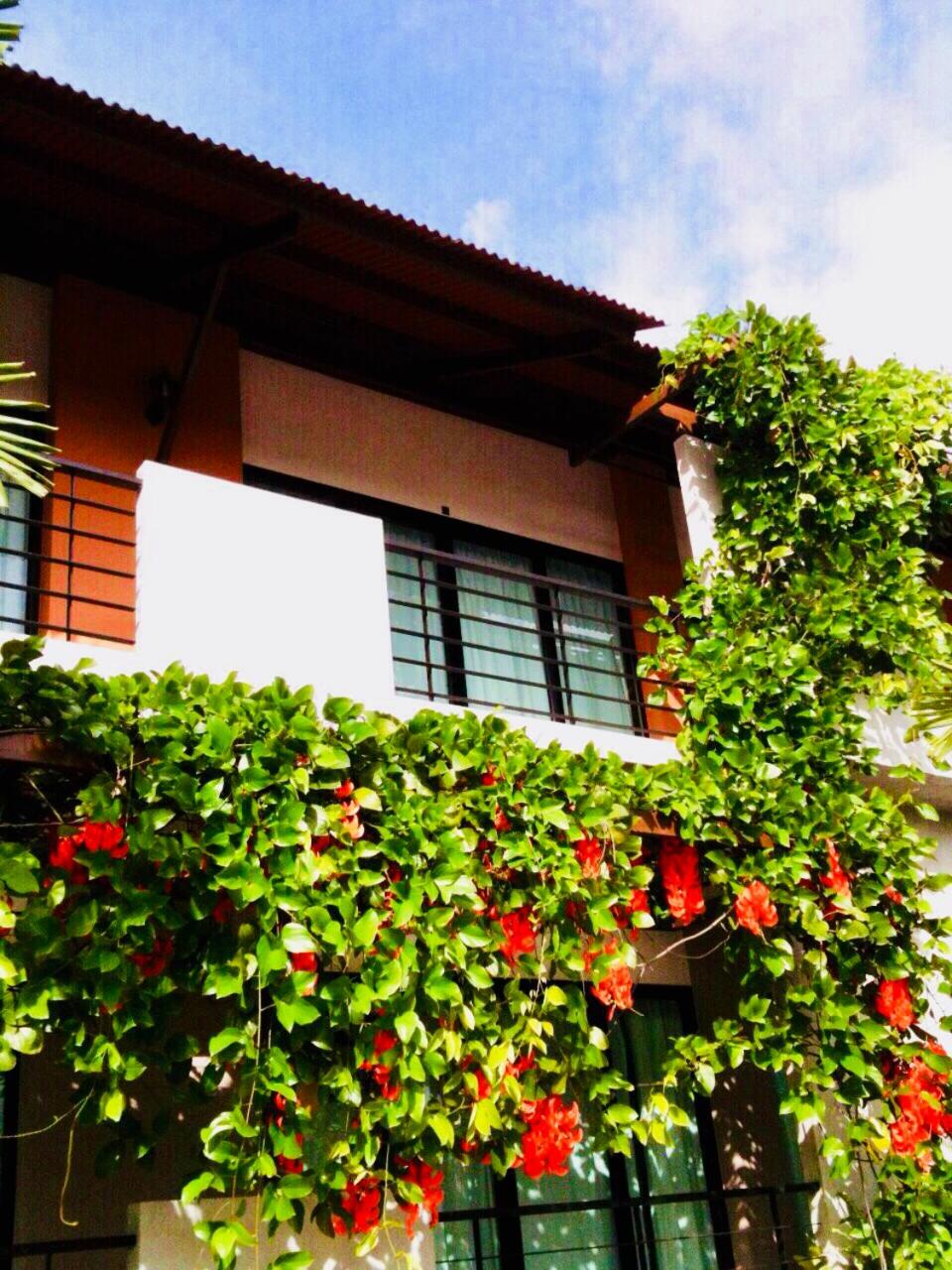 Wassana Sitdharma Guesthouse