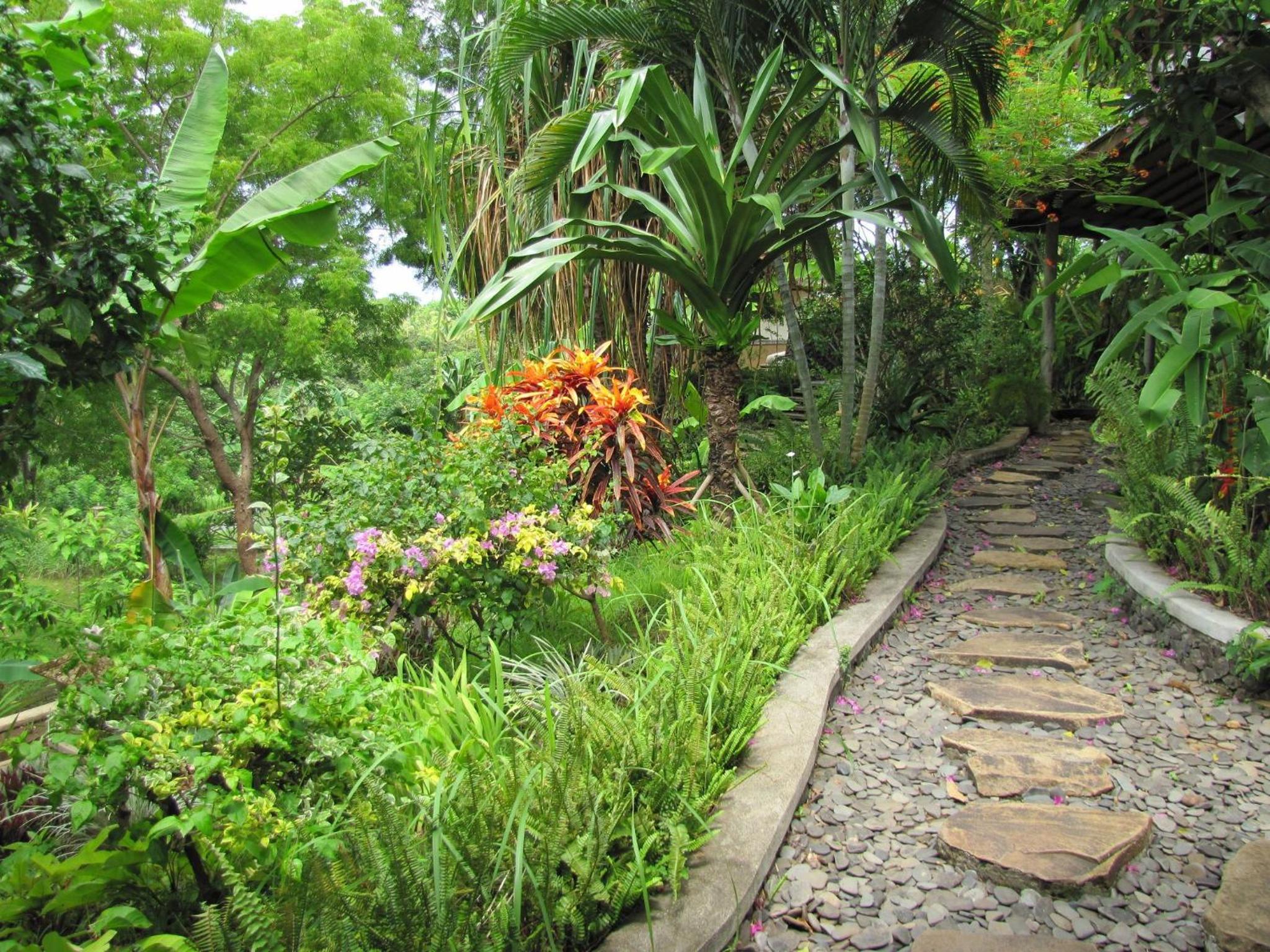 Photo 7