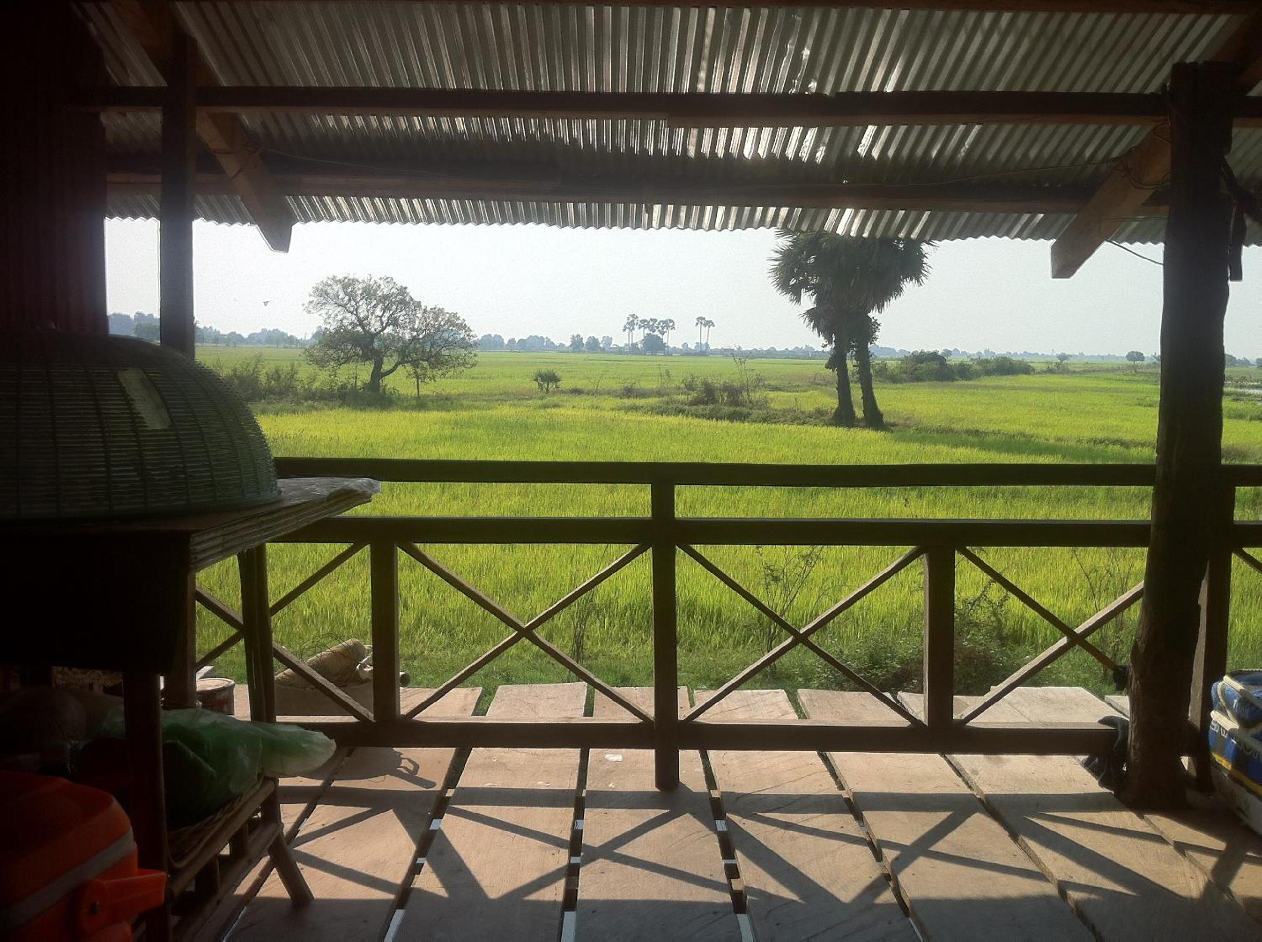 Chamkachuk Home
