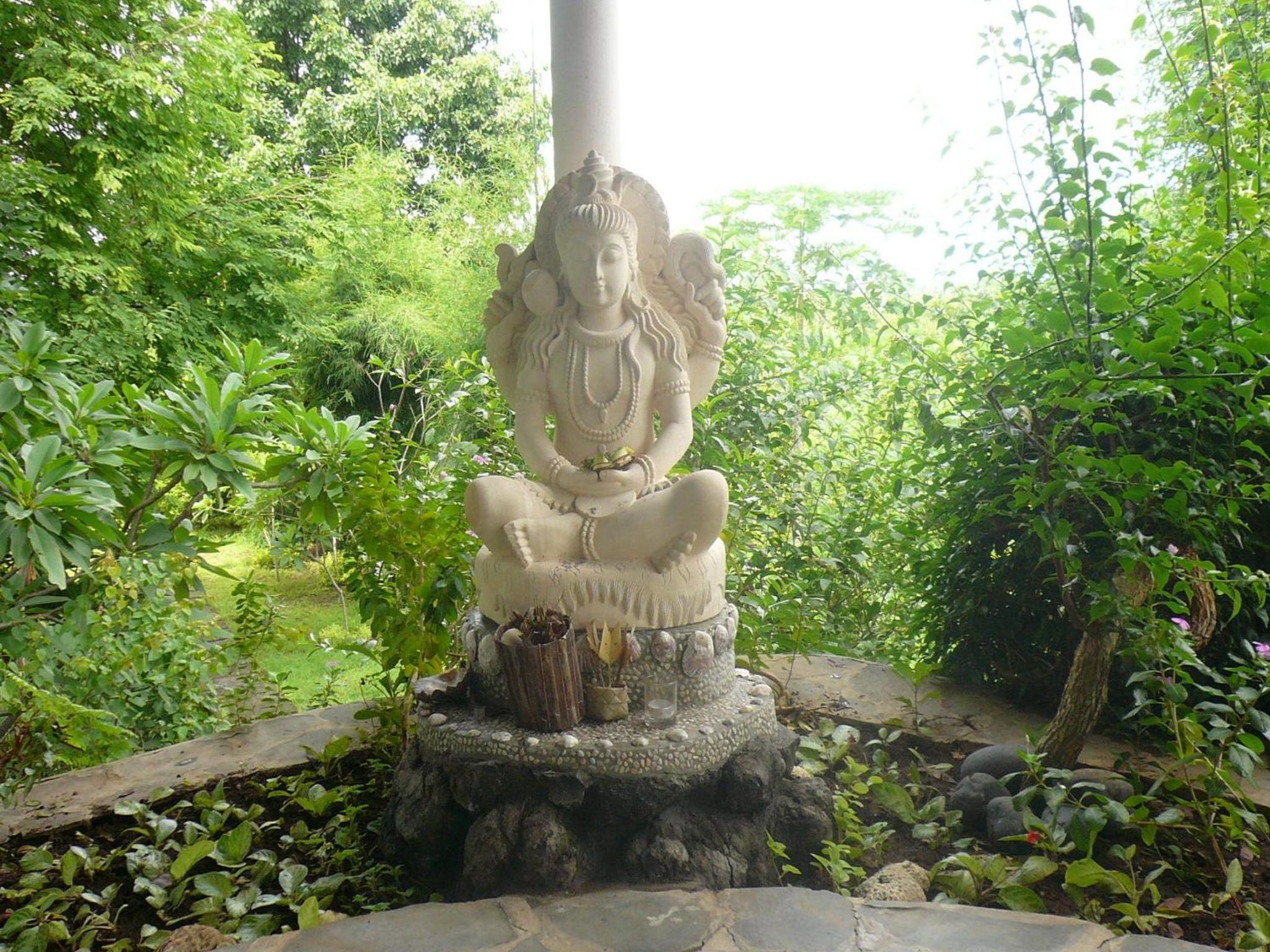 Photo 22