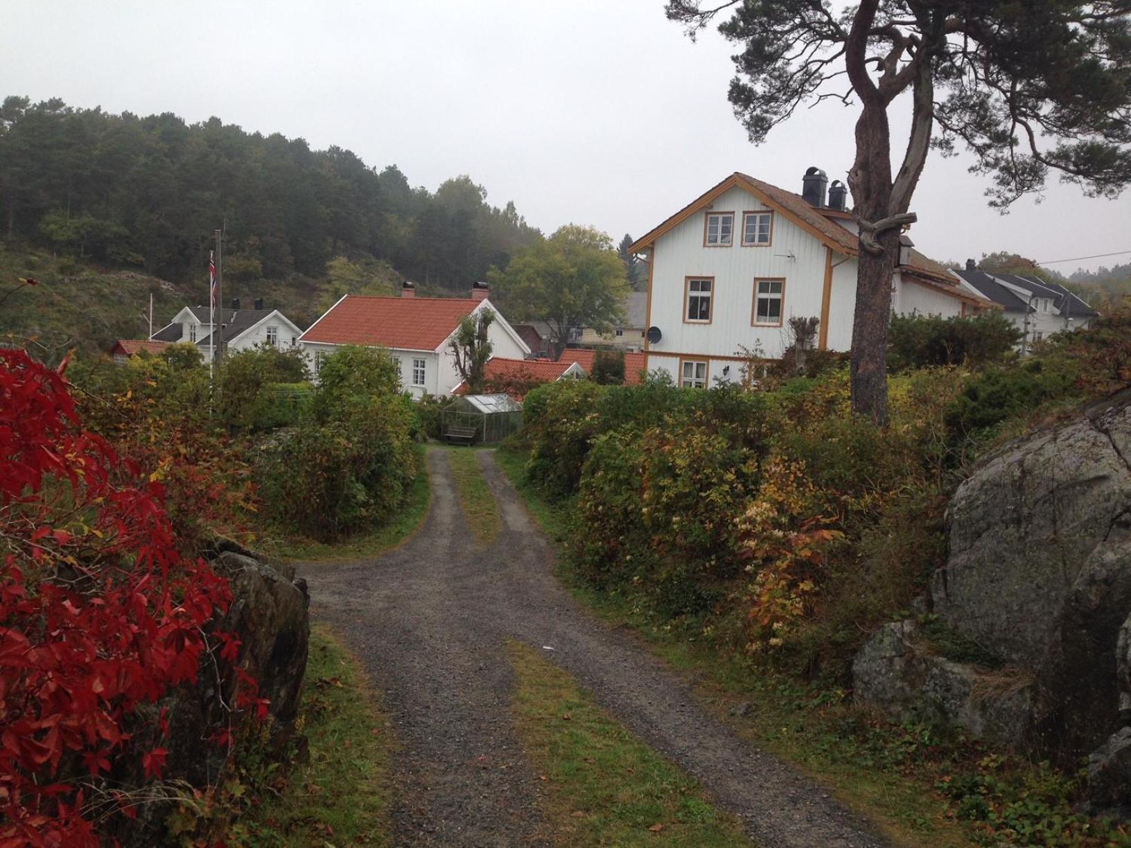Photo 28