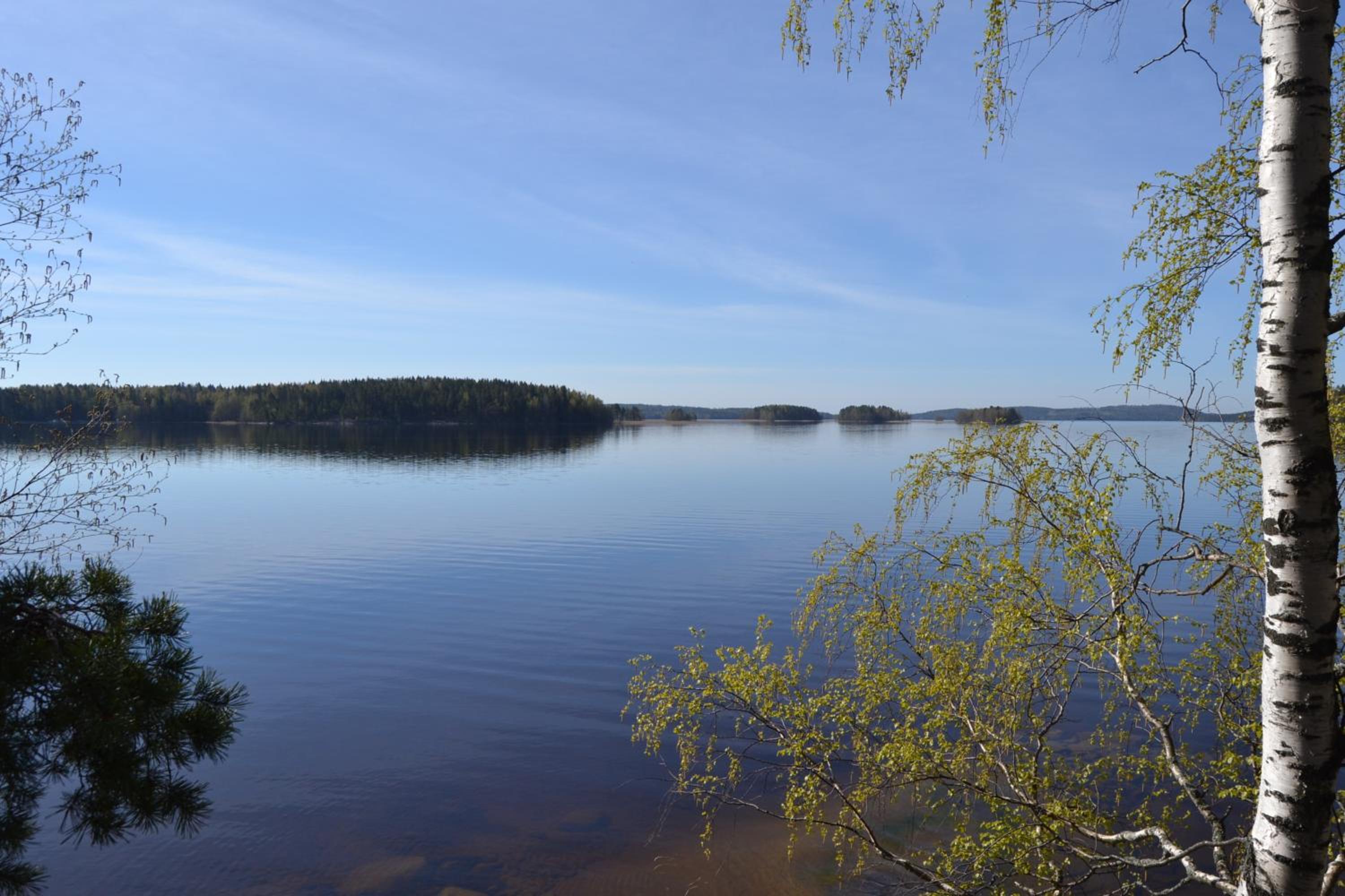 Photo 44