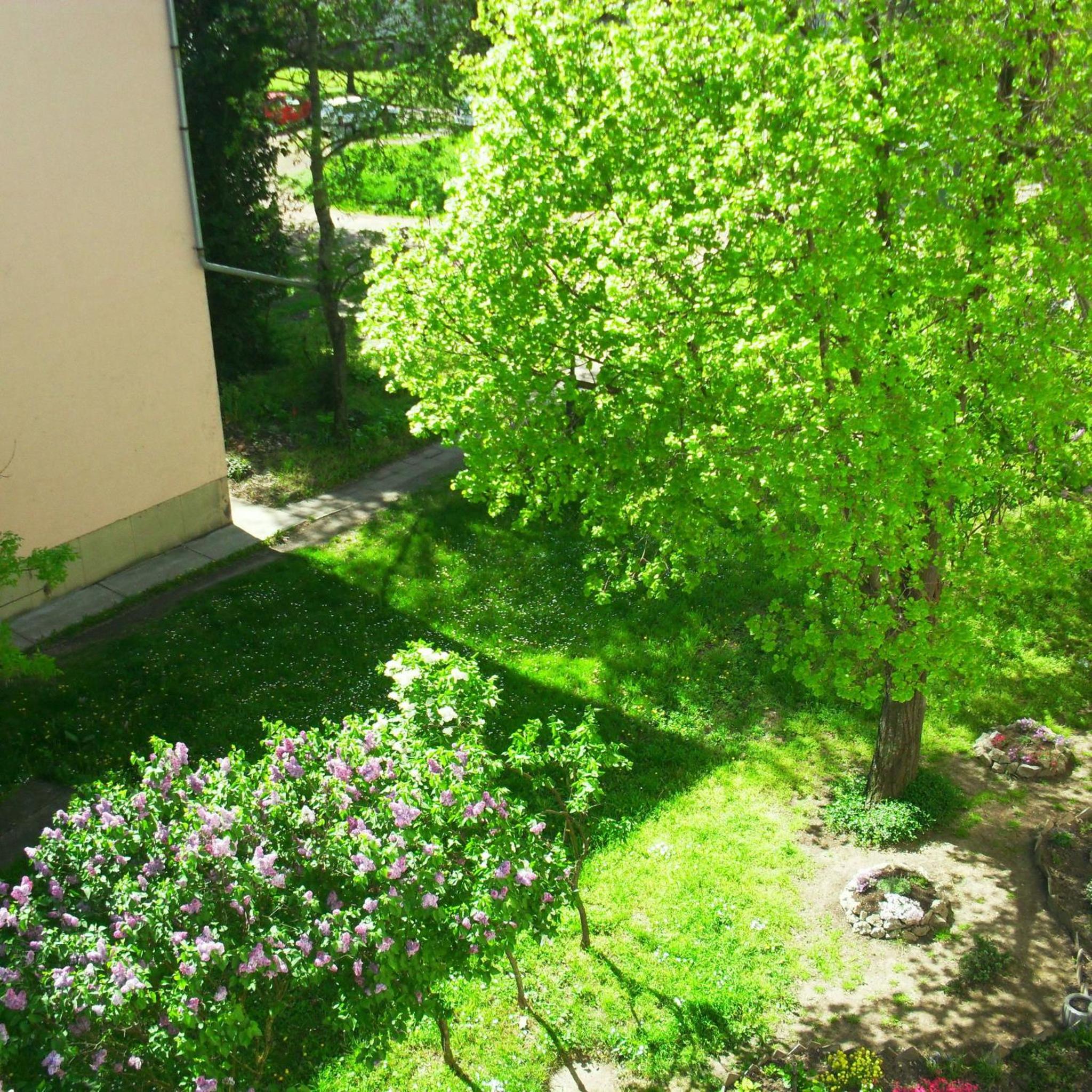Fészek Apartman