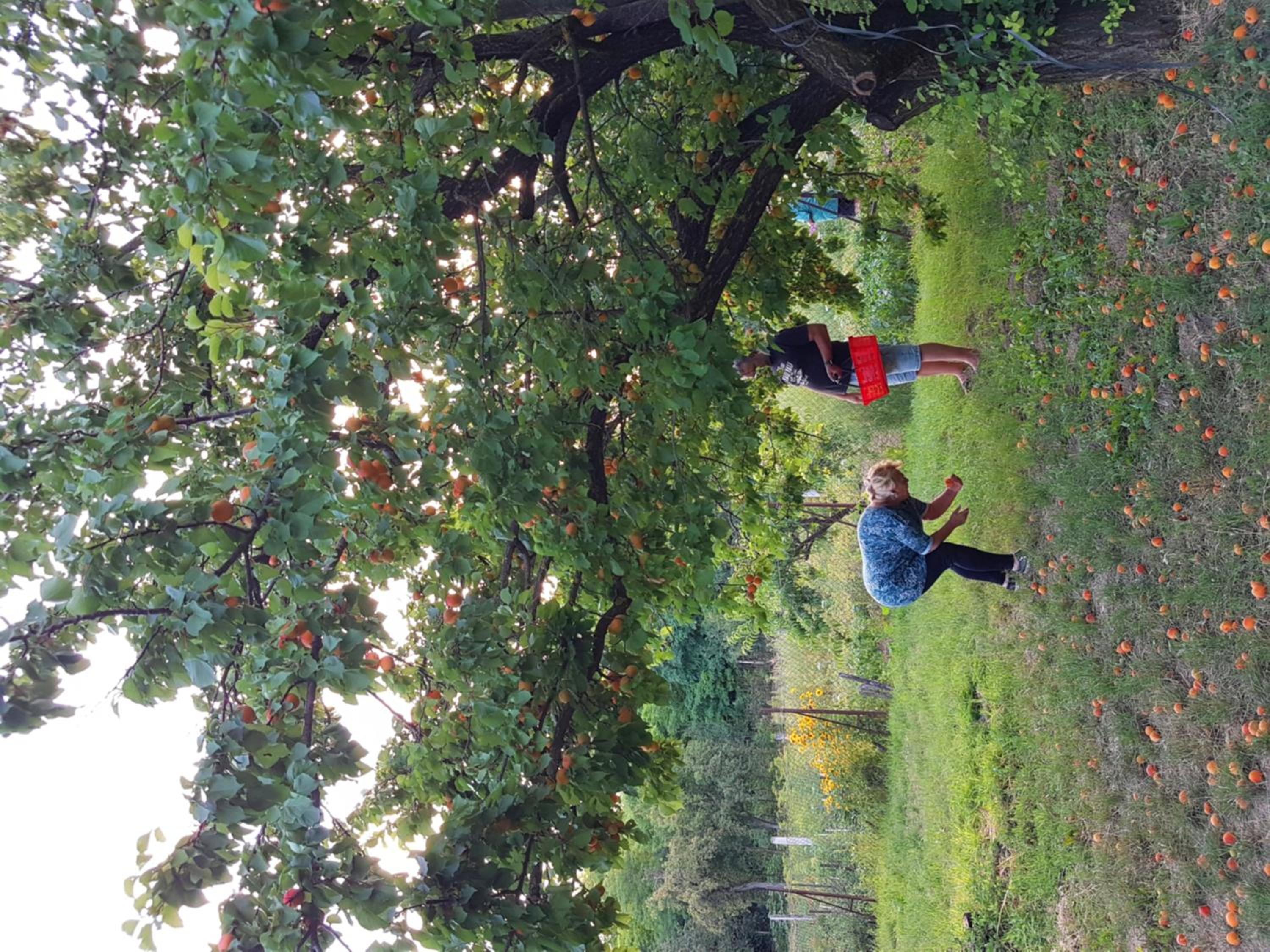 Photo 76