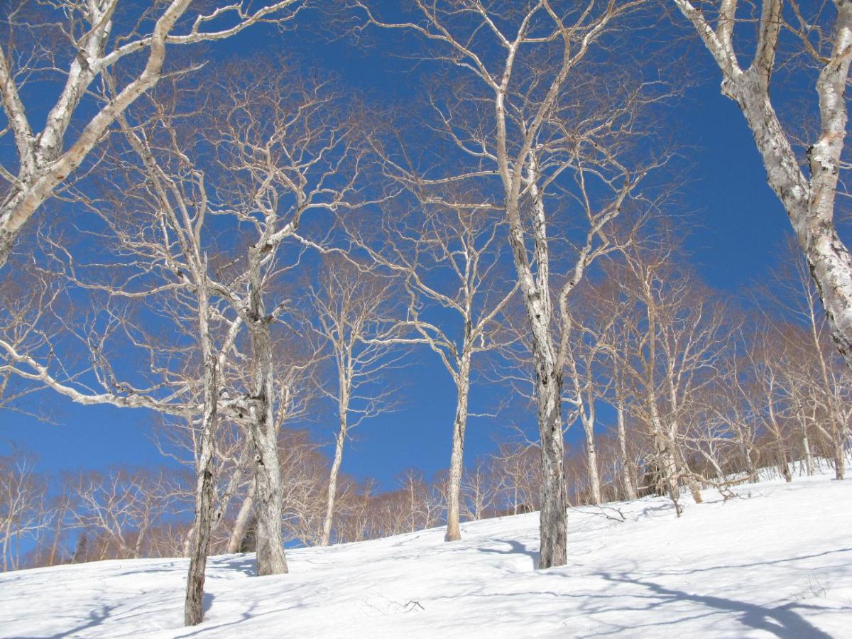 Resort Project Myoko Kogen
