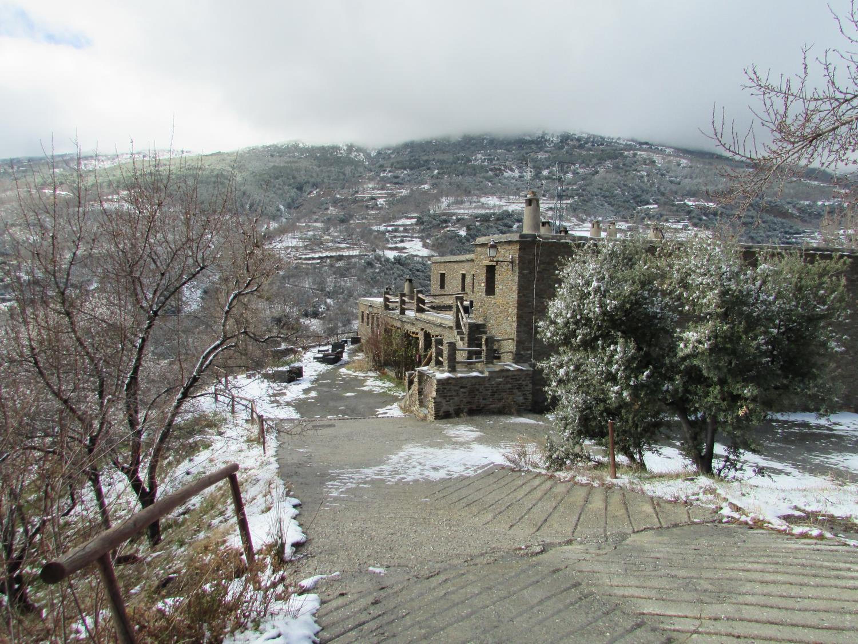 Photo 46