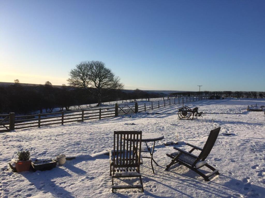 Folly Hall Farm