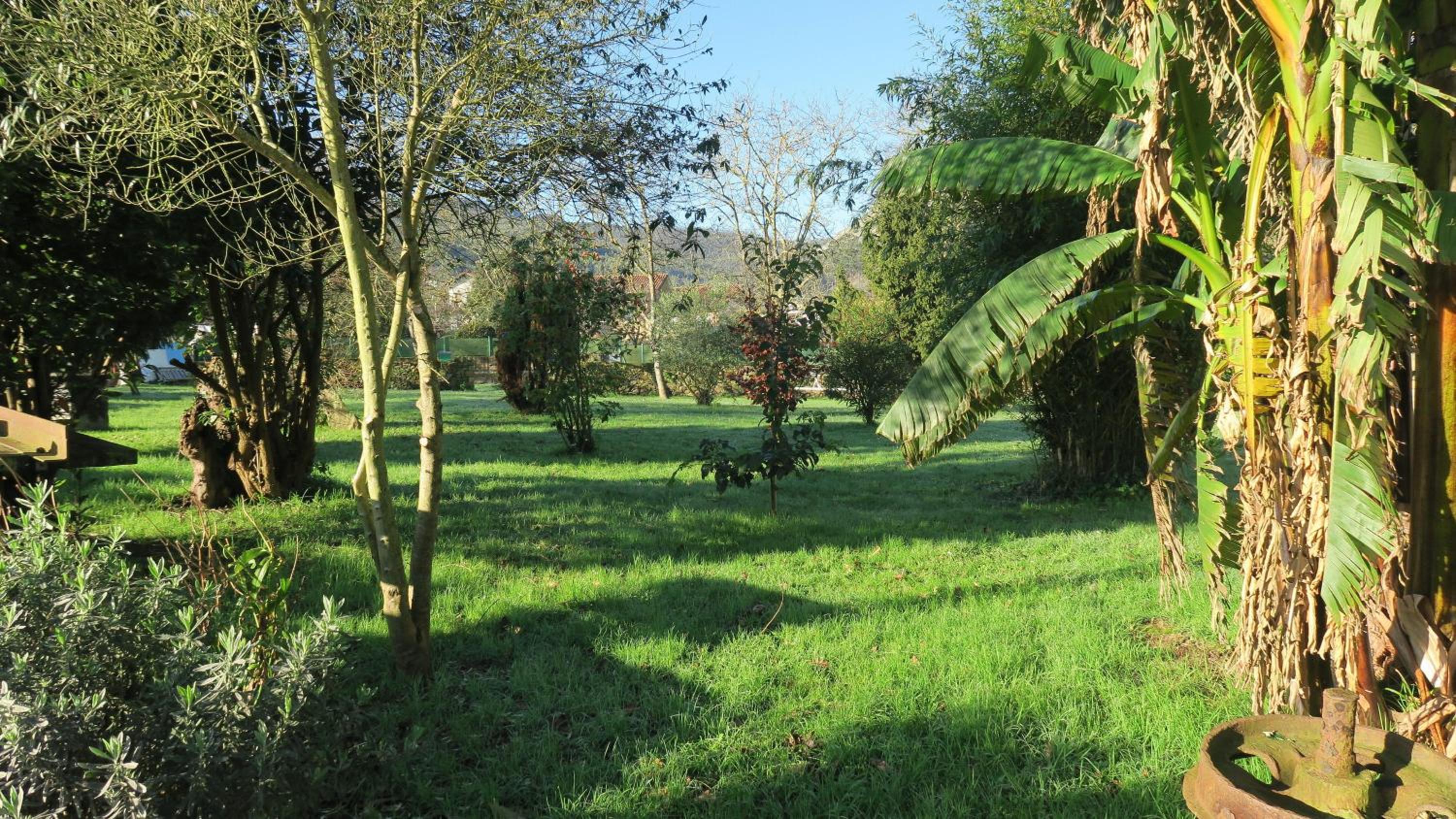 Posada Casa Rosalia