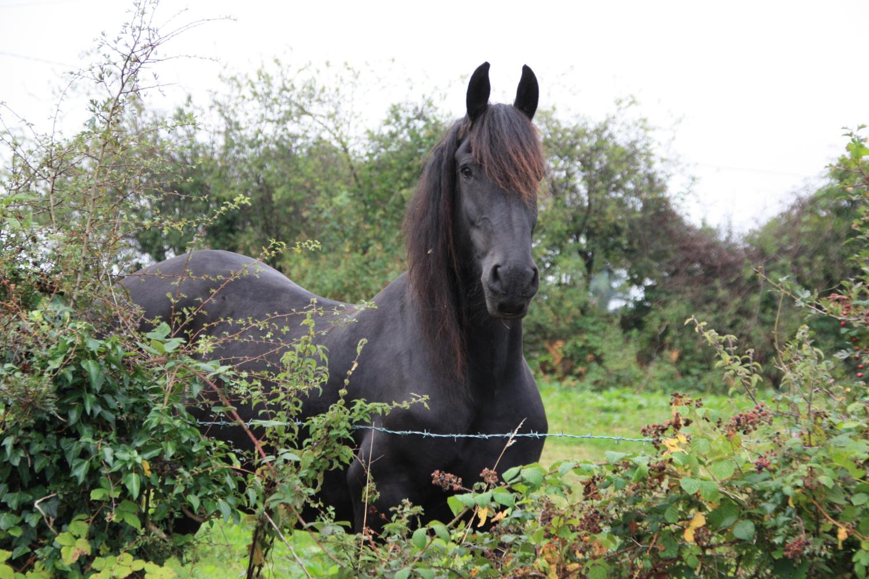 Slieve Aughty Centre