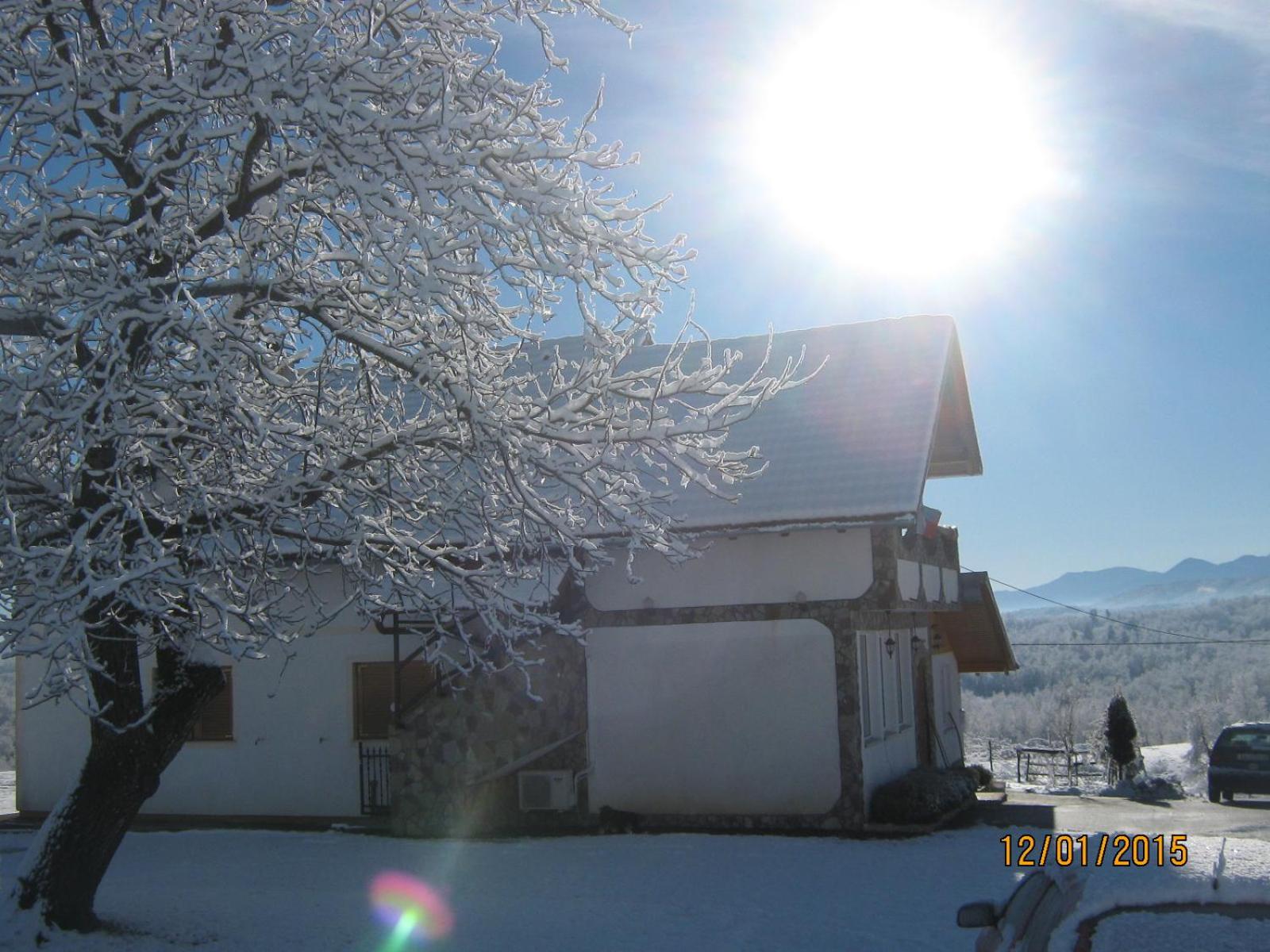 Photo 64