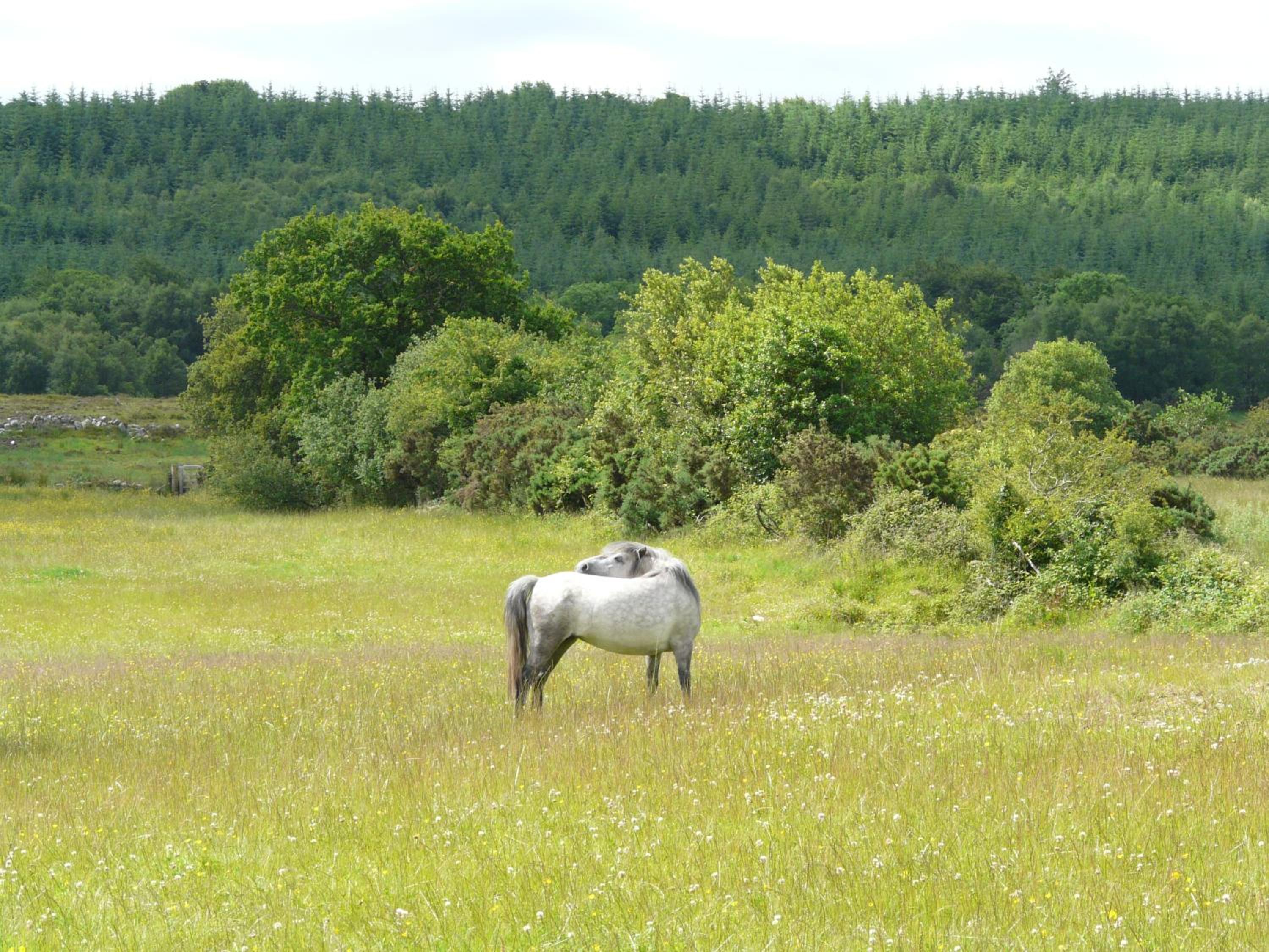 Slieve Aughty Centre