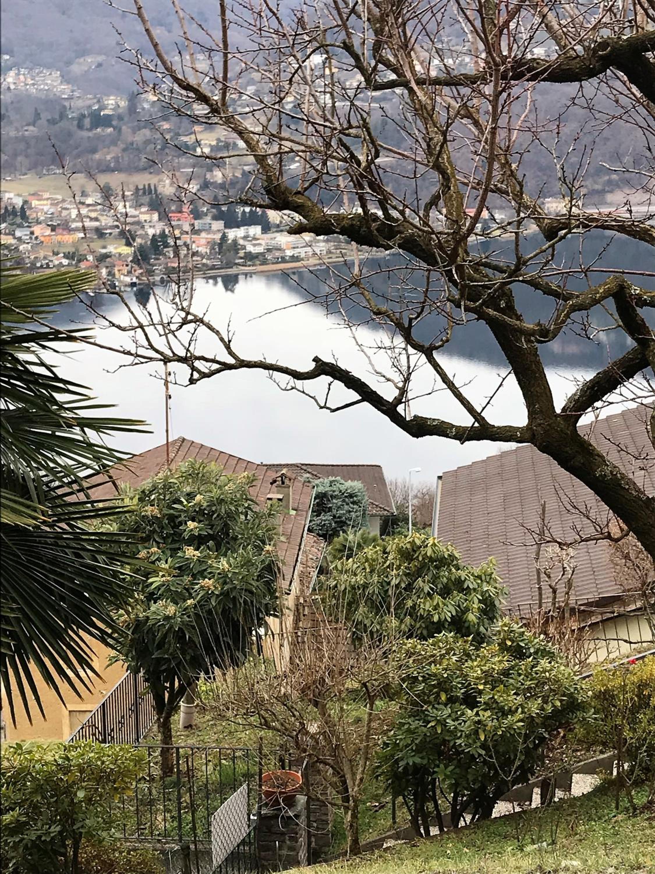 Collinetta di Montagnola