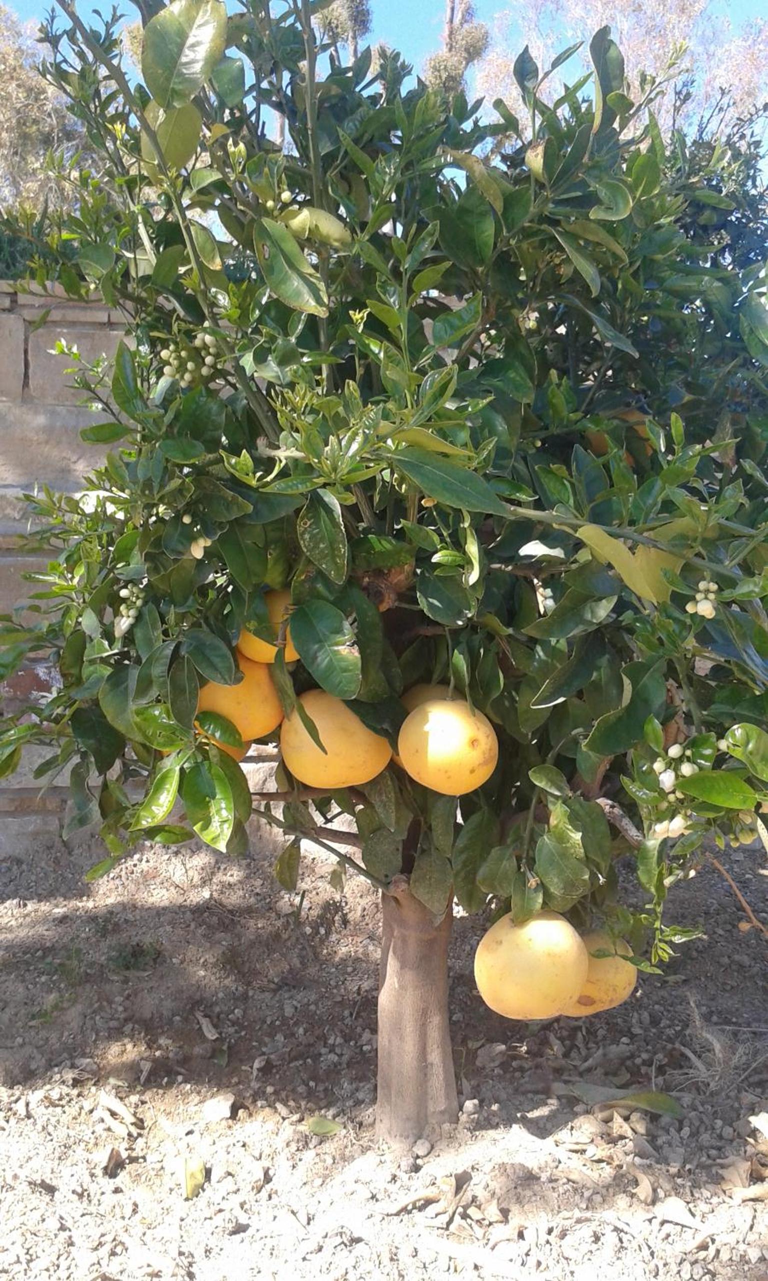 Agriturismo Baratti