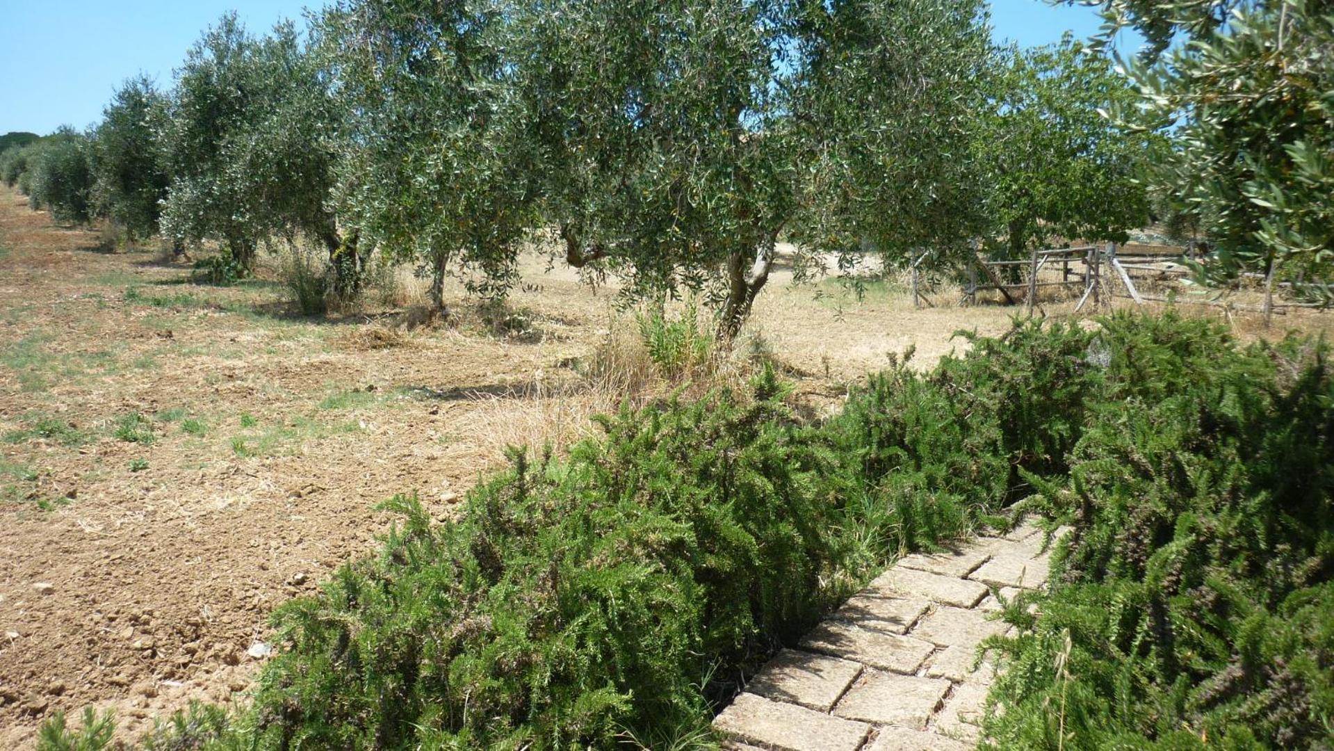 Agriturismo Baratti